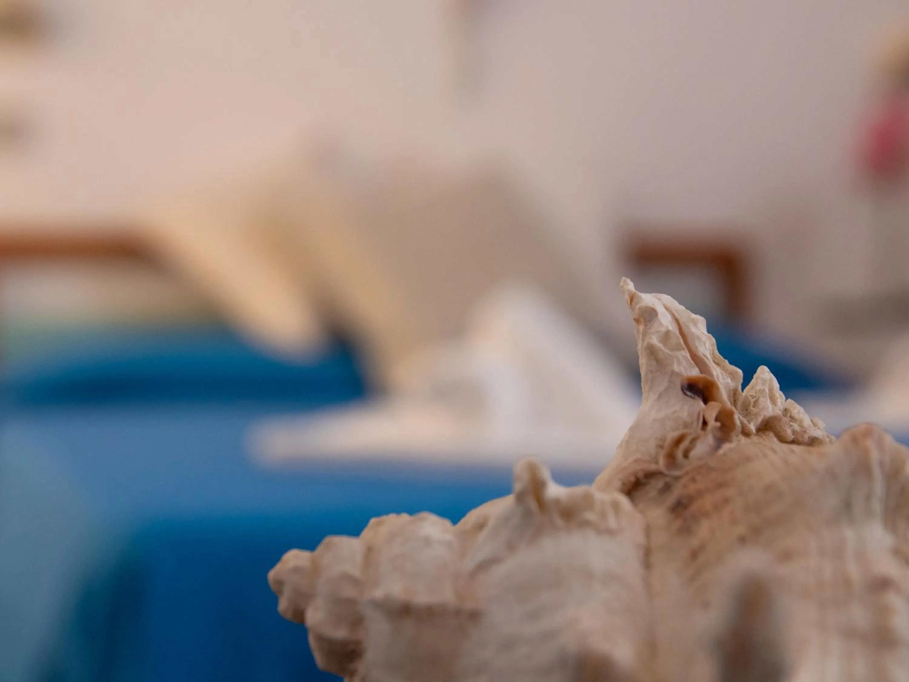 Decorative detail in Hotel Merano