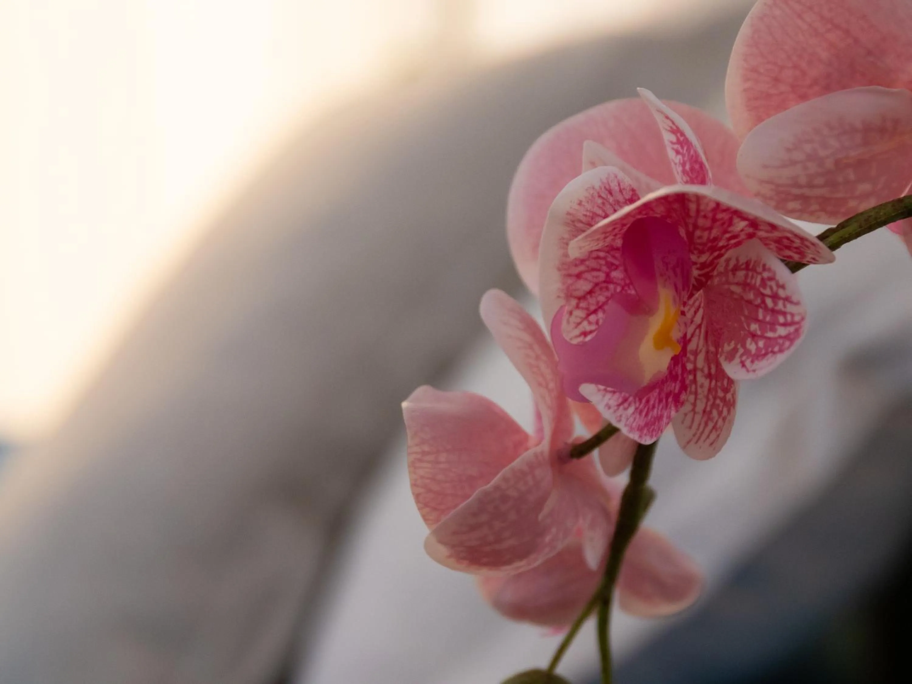 Decorative detail in Hotel Merano