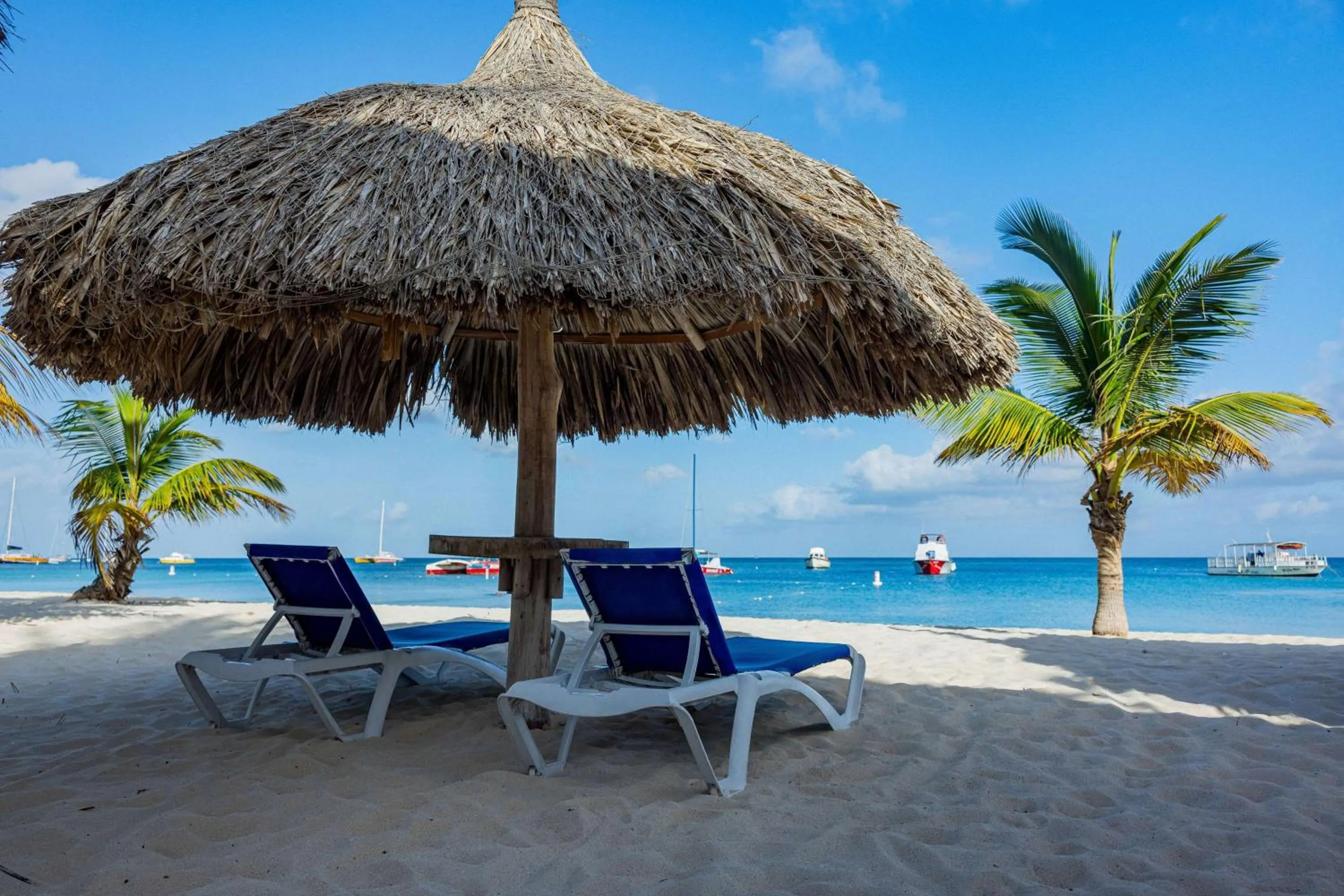 Other in TRYP by Wyndham Aruba