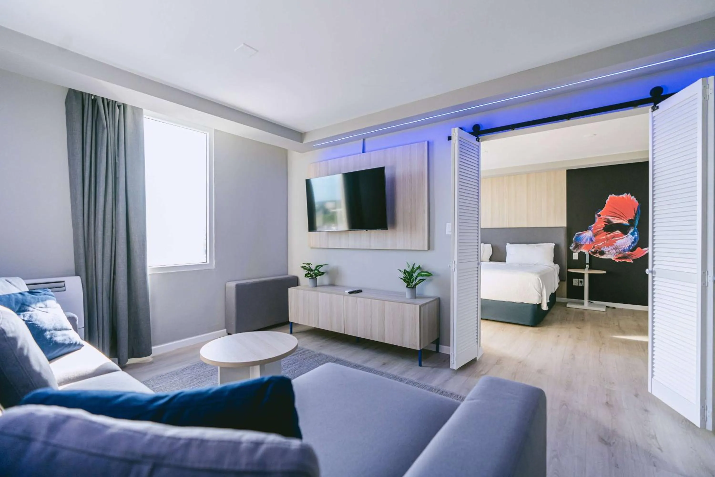 TV and multimedia in TRYP by Wyndham Aruba