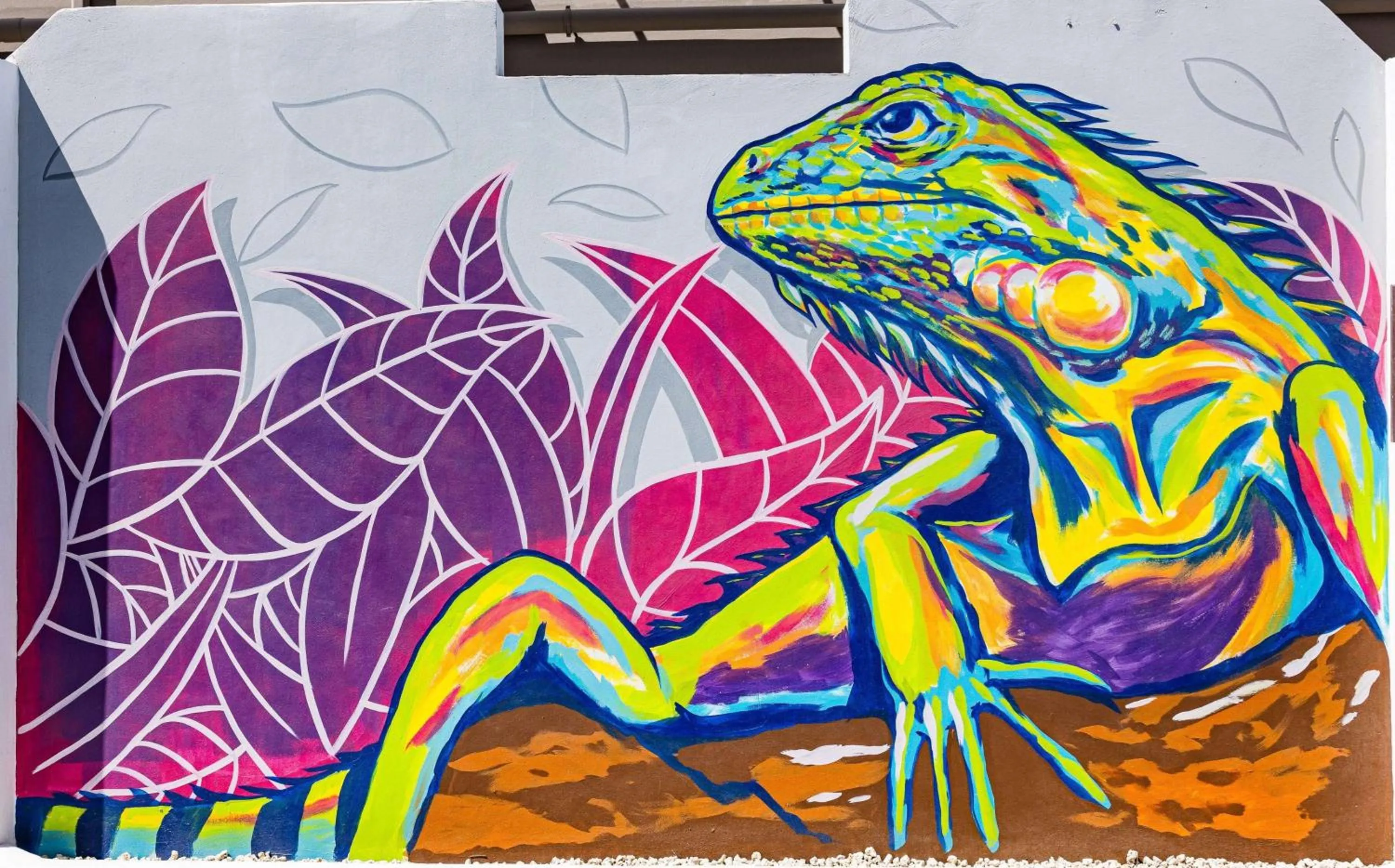 Other in TRYP by Wyndham Aruba