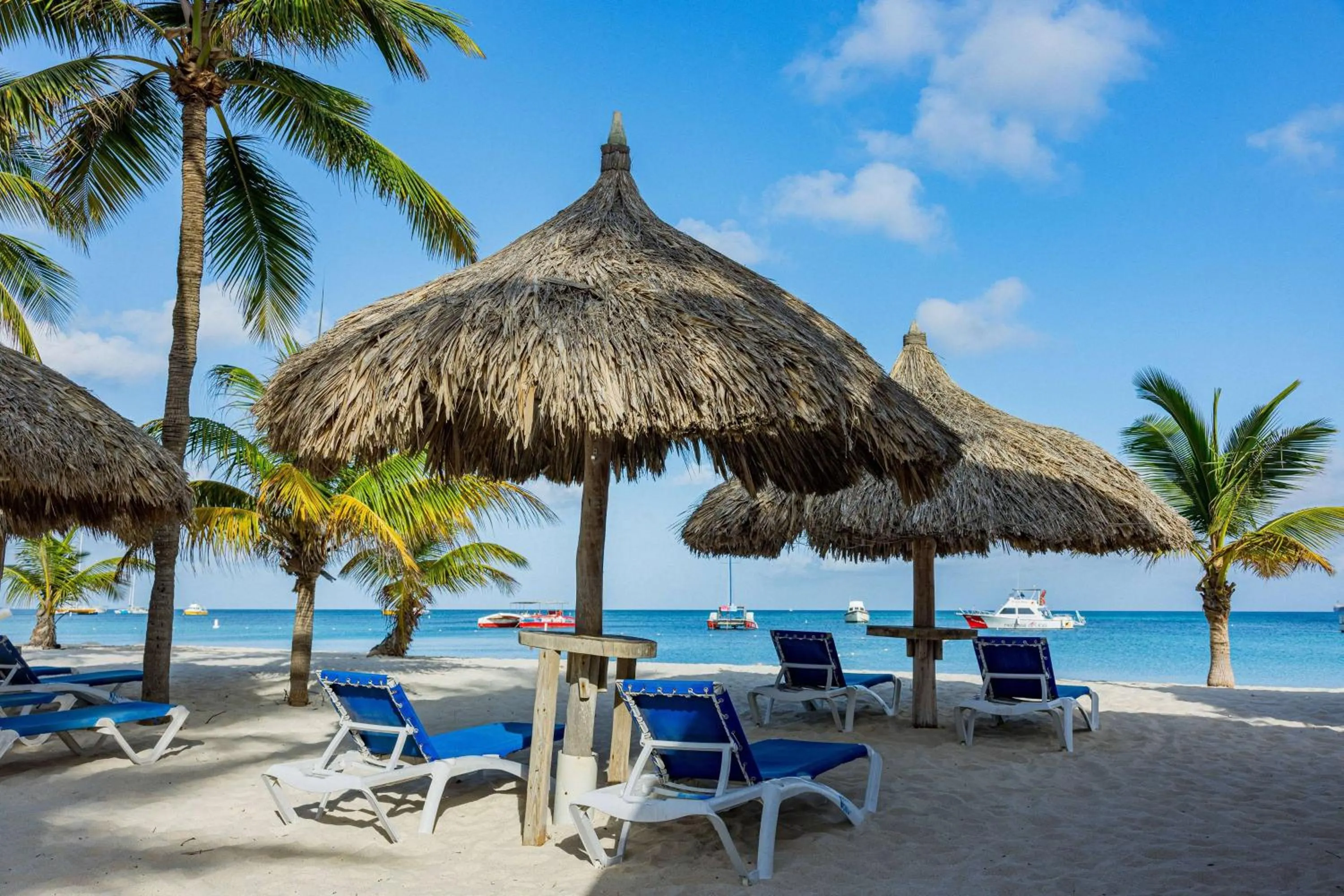 Other in TRYP by Wyndham Aruba