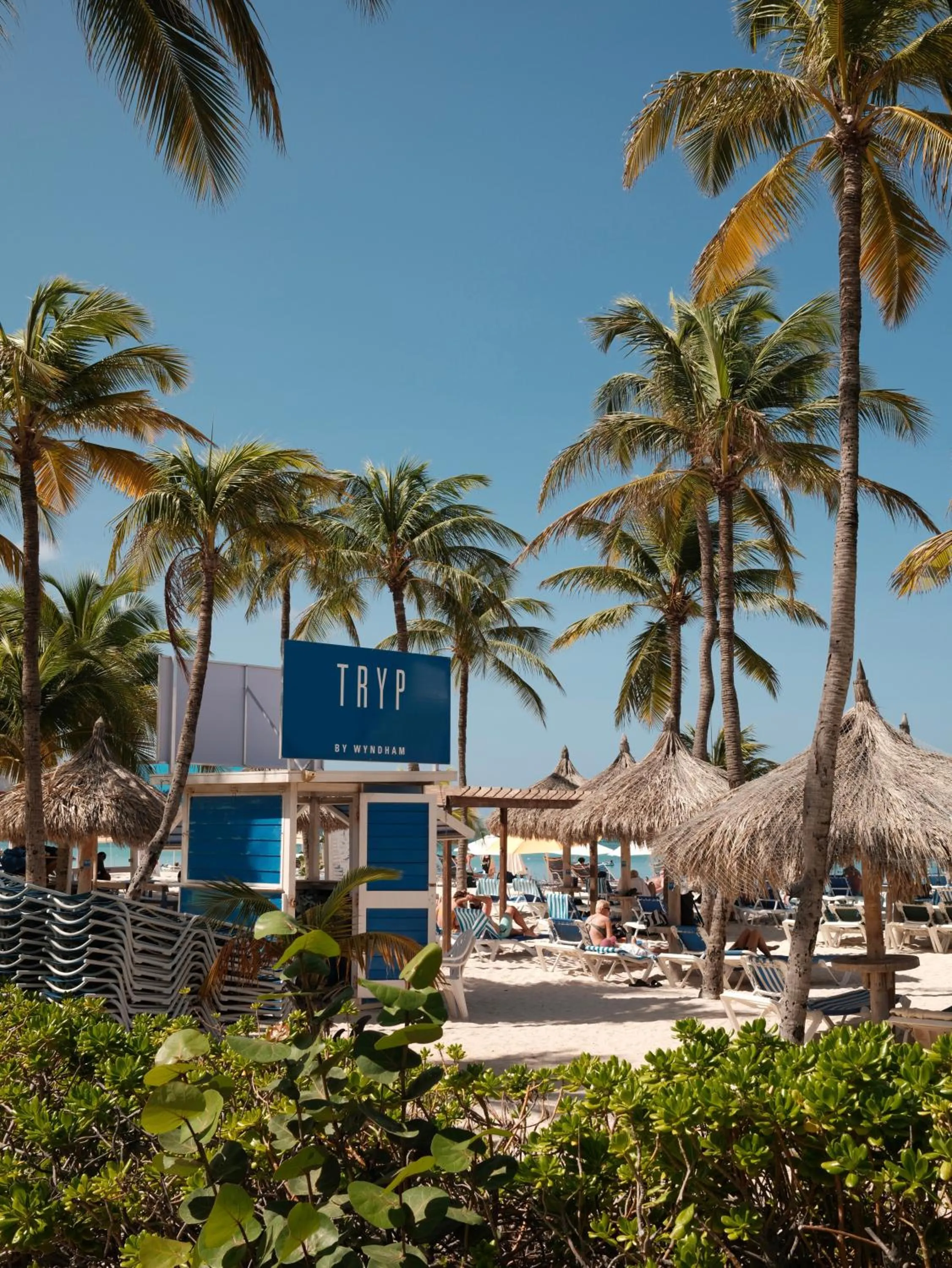 Beach in TRYP by Wyndham Aruba