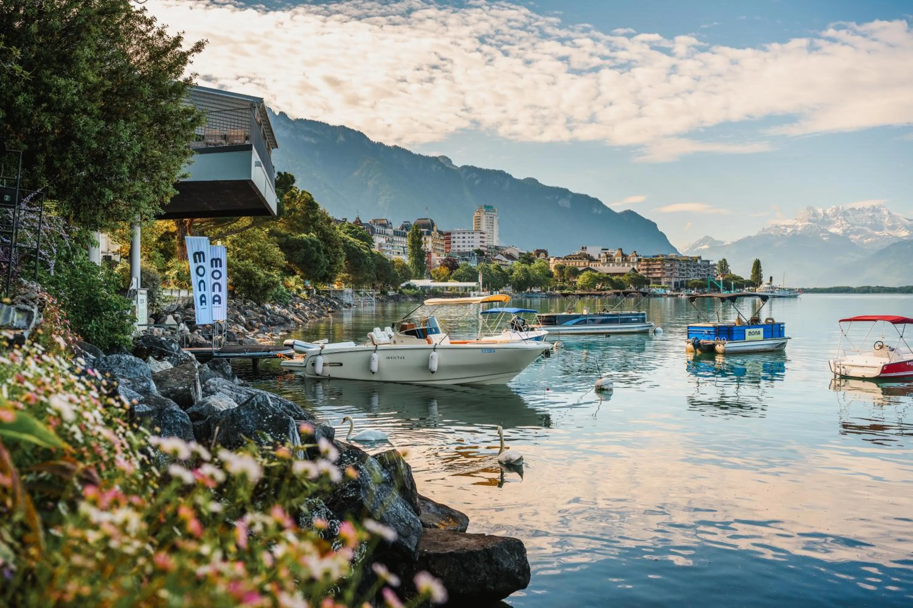 Activities in Hotel Mona