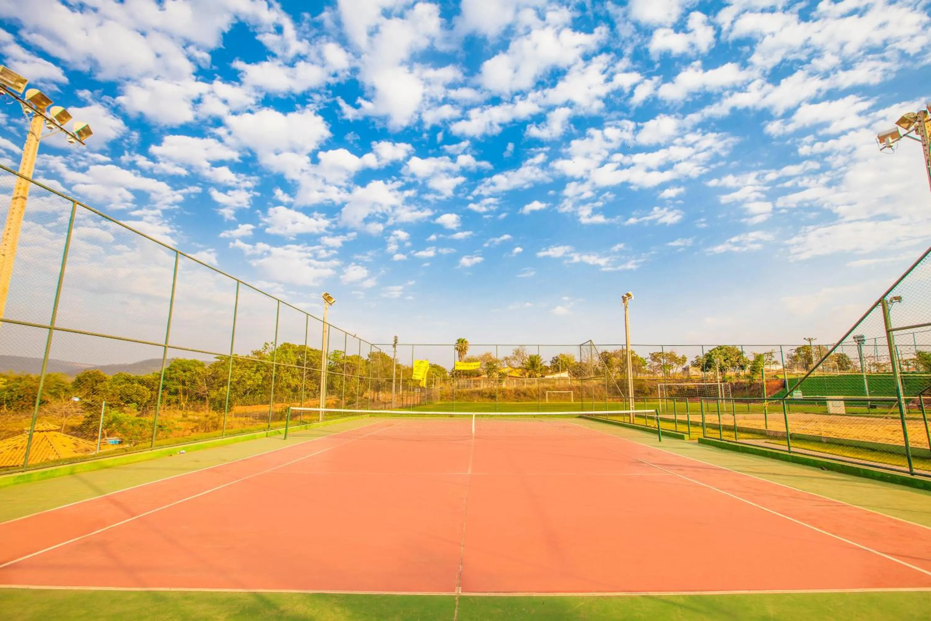 Golden Dolphin Express Oficial