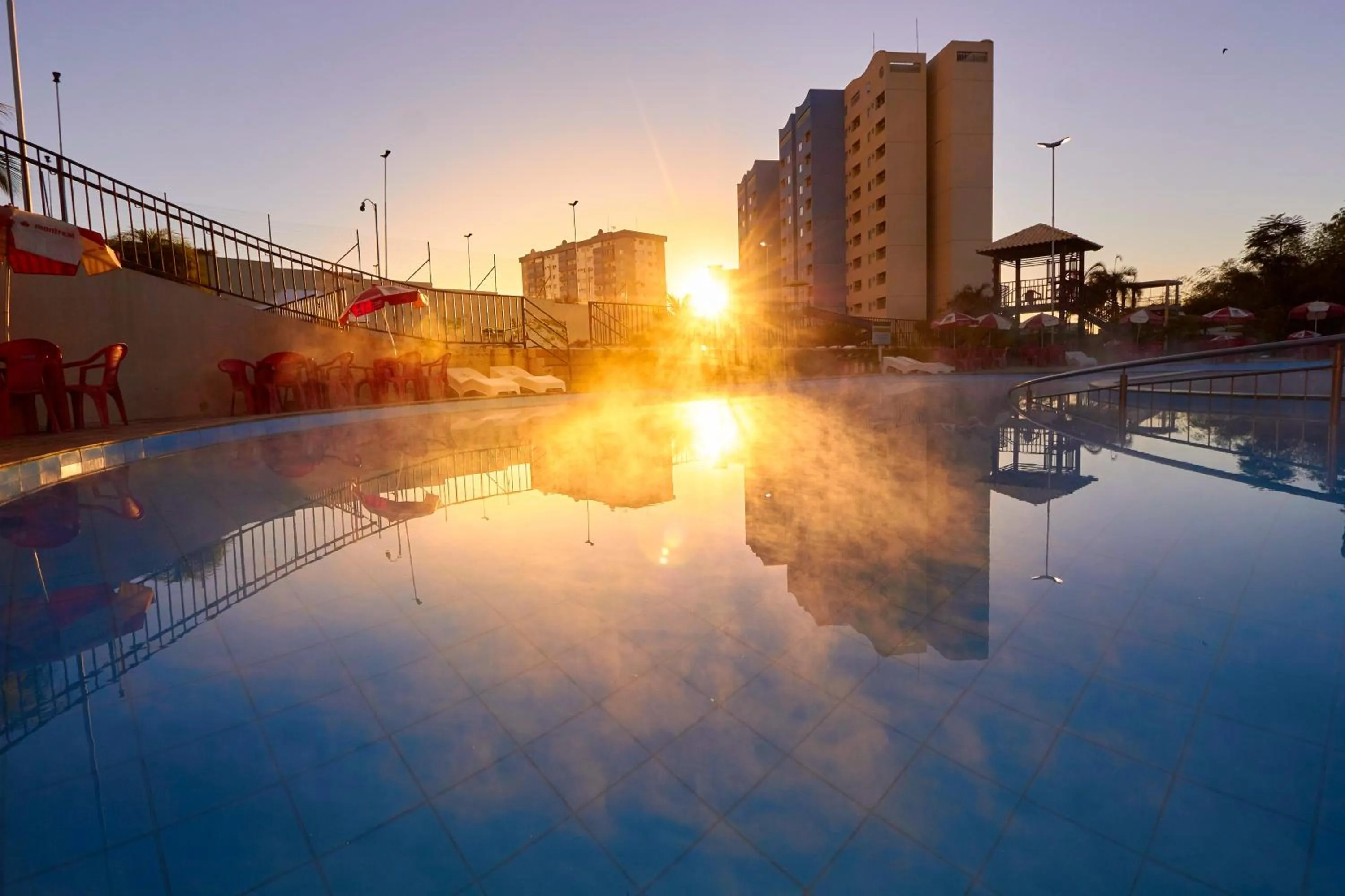 Golden Dolphin Express Oficial