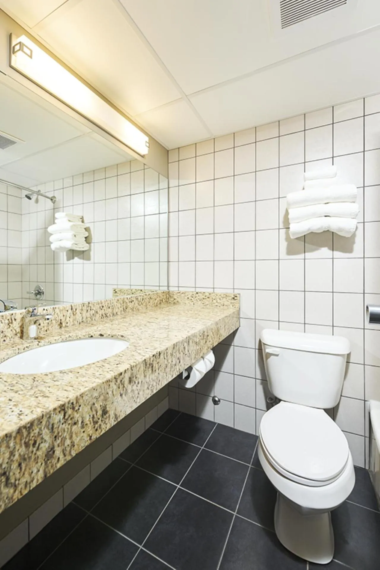 Bathroom in Canad Inns Destination Centre Transcona