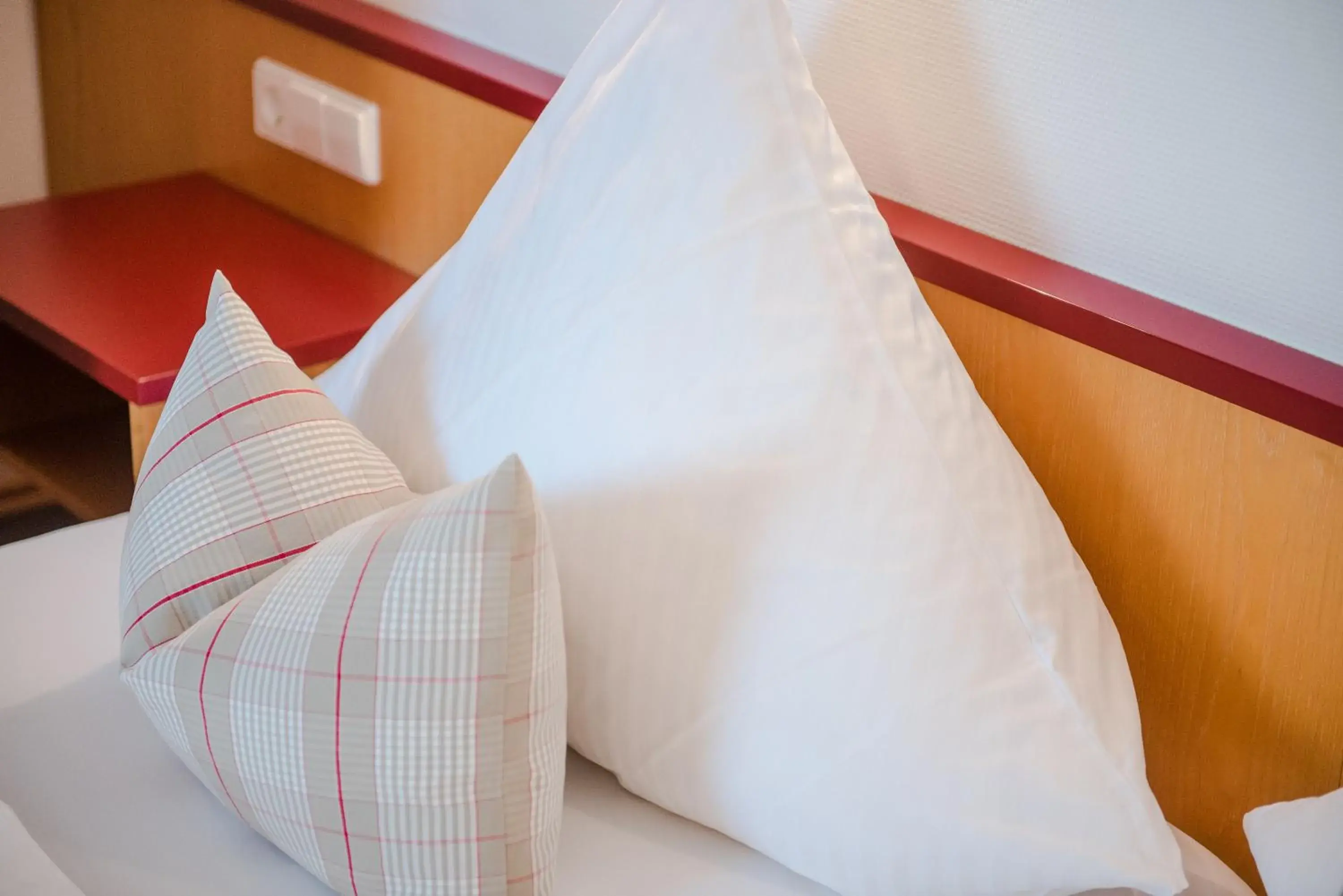 Single Room - single occupancy in Hotel Gasthof zum Rössle Single Room - single occupancy in Hotel Gasthof zum Rössle