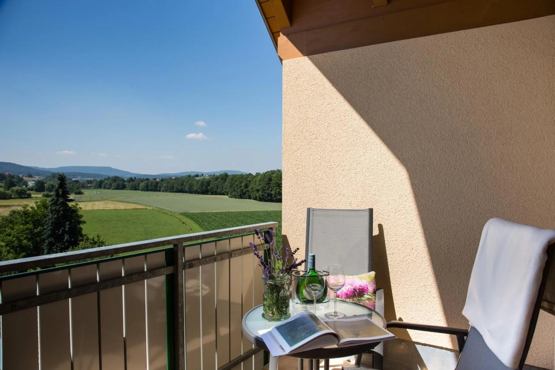 Balcony/Terrace in Landhotel-Gasthof Grüner Baum