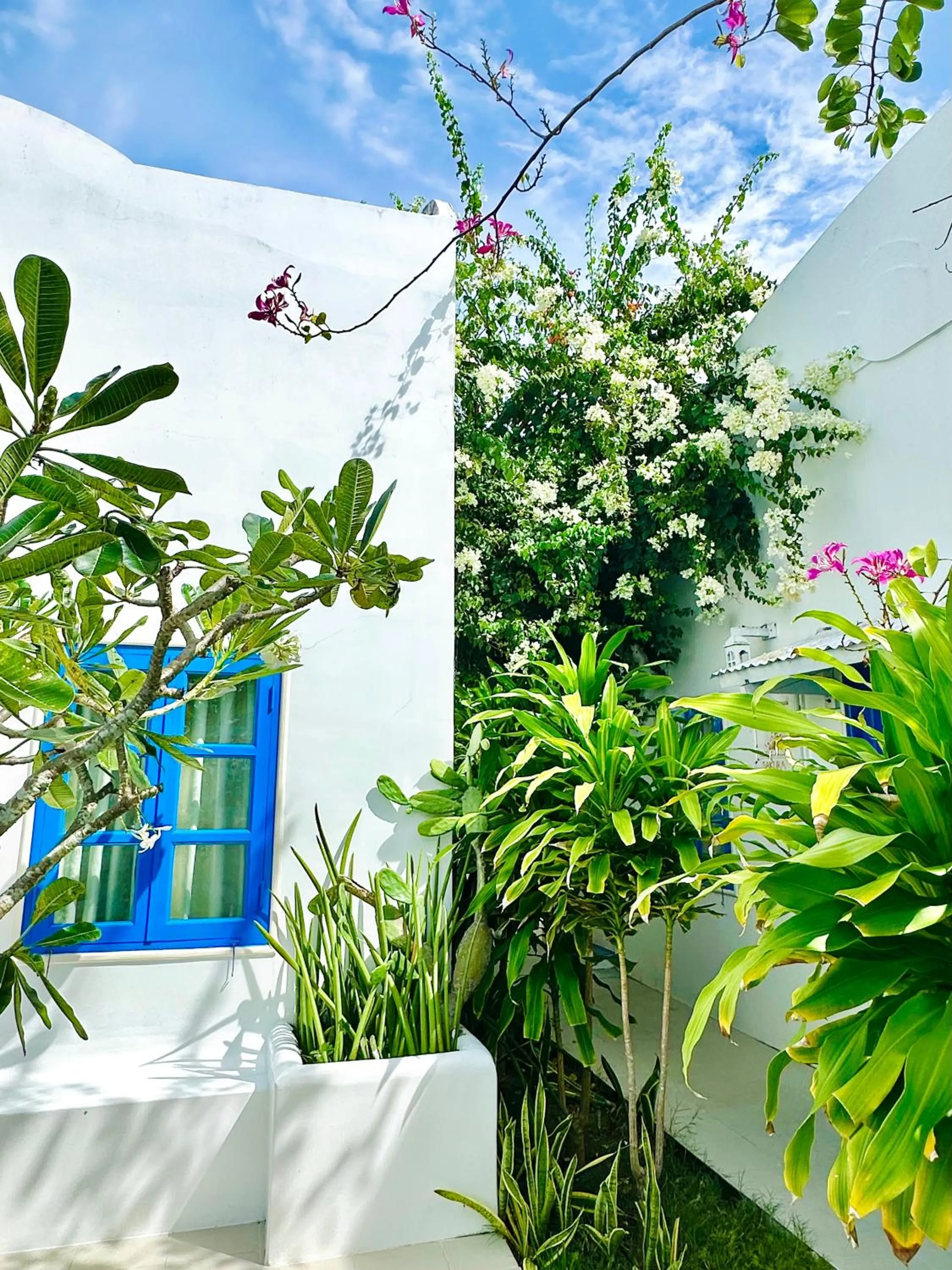 Moonbeam Homestay & Mini-resort Mui Ne