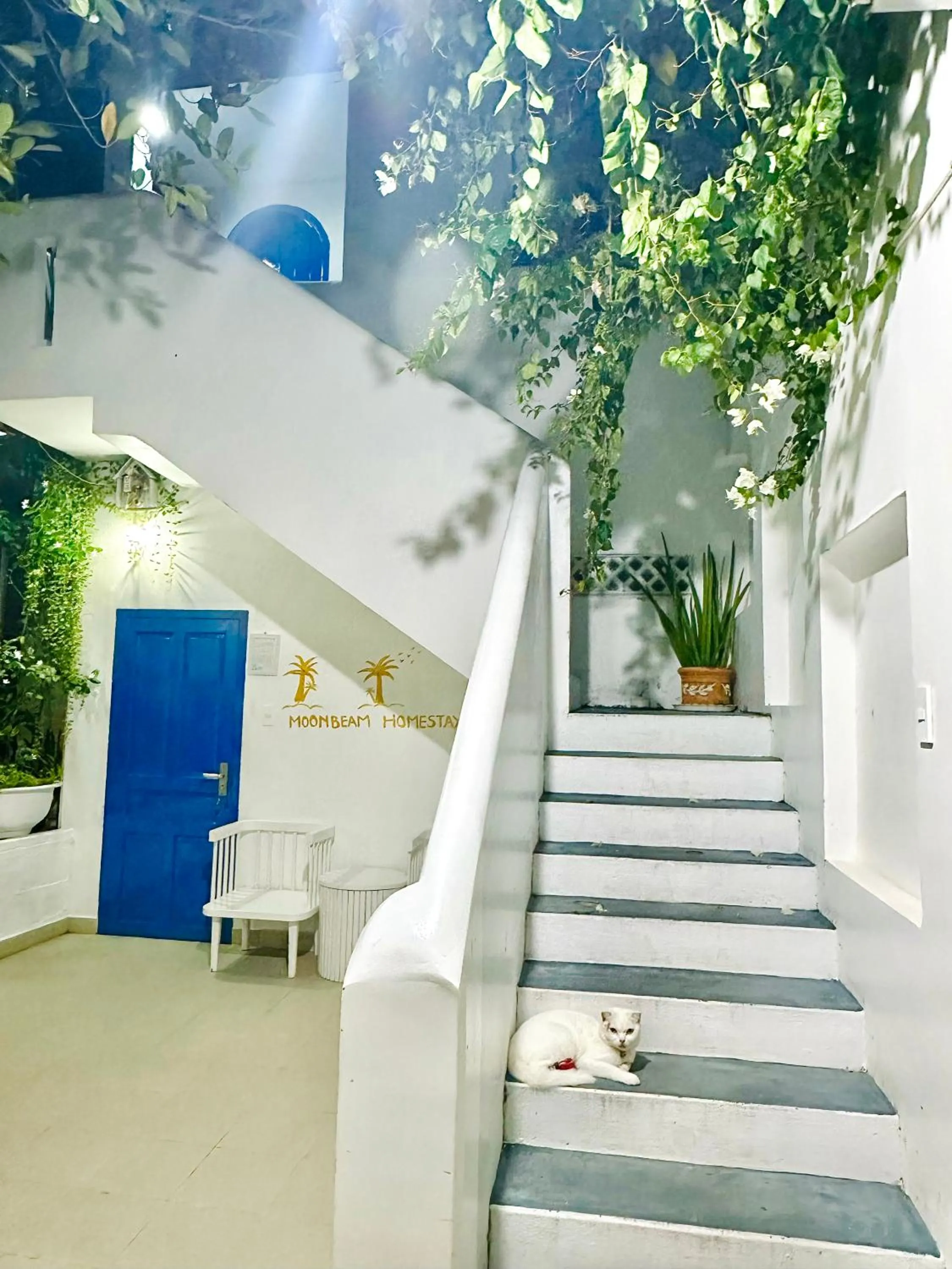 Moonbeam Homestay & Mini-resort Mui Ne