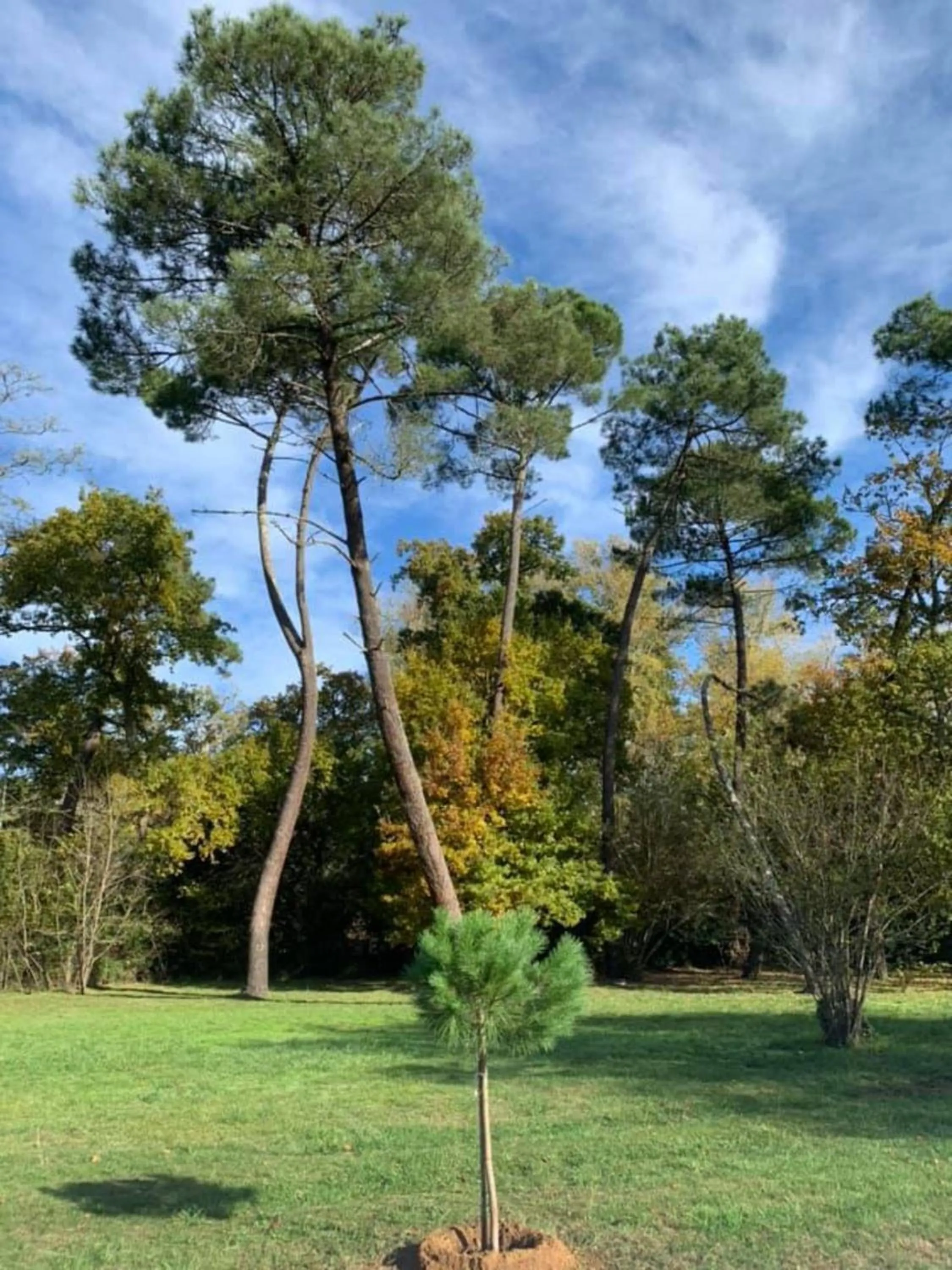 Garden in Les Volets Violets