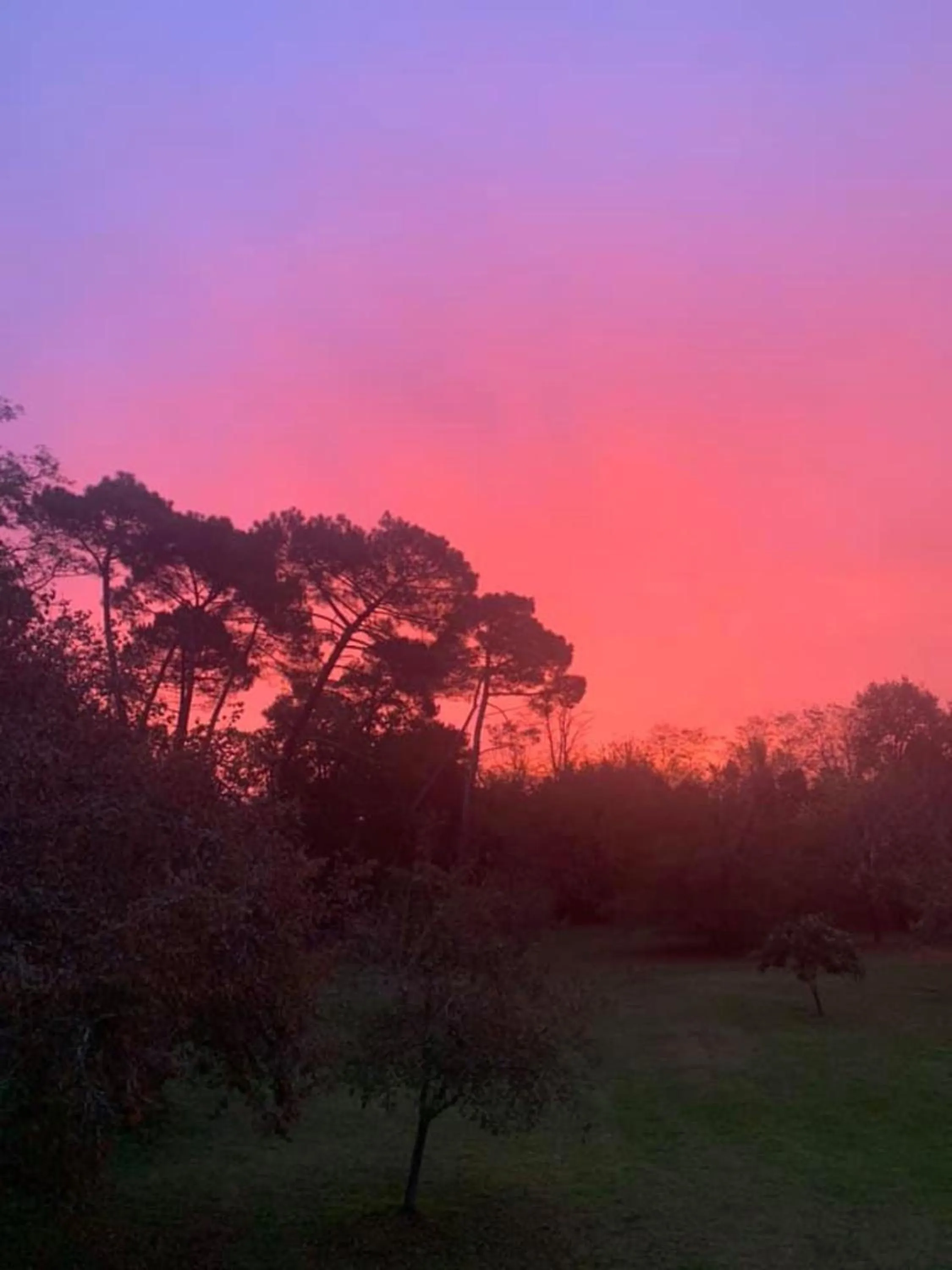 Garden in Les Volets Violets