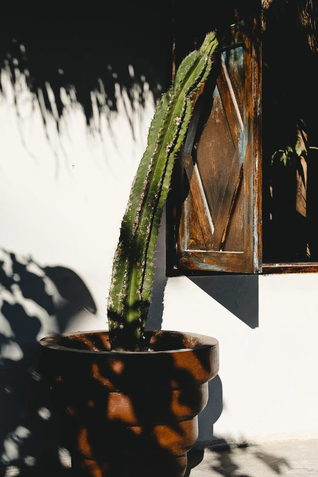 Facade/entrance in La Bohème Boutique Glamping