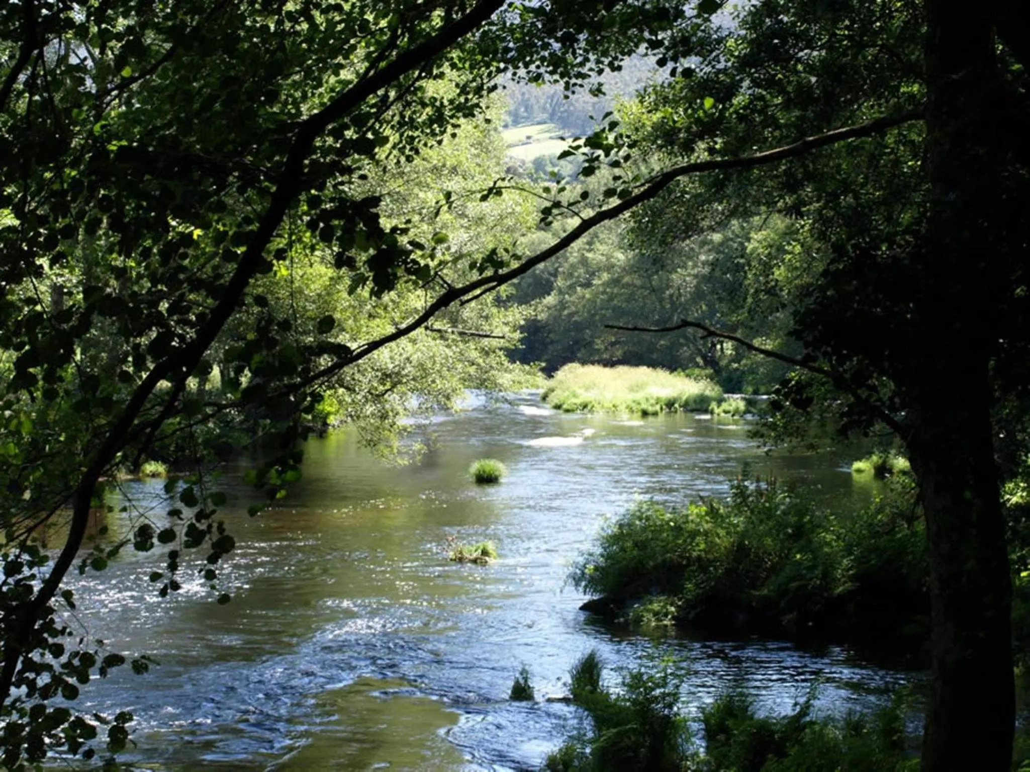 Day in Hotel San Briz