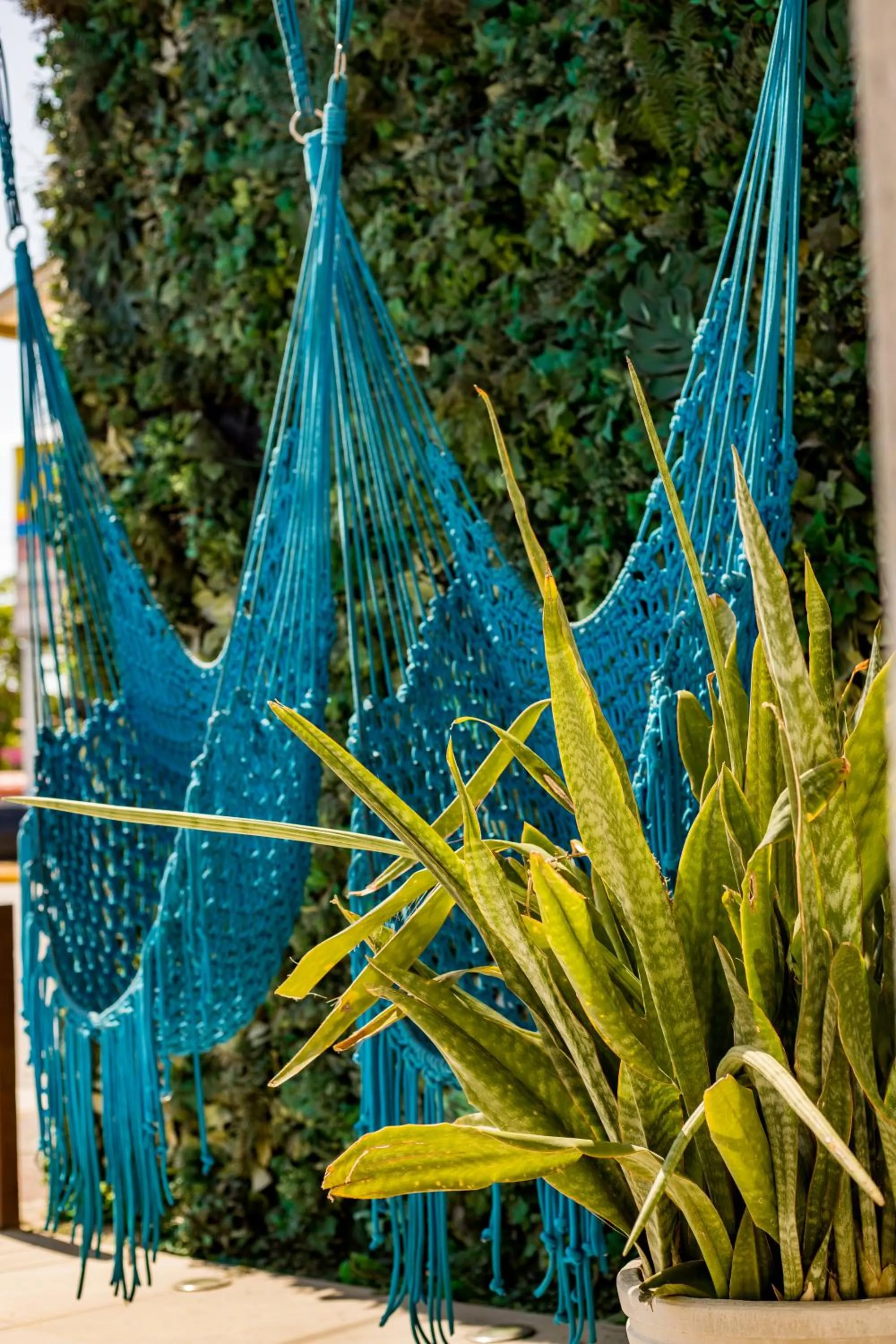 Lobby or reception in Vila de Maré Hotel