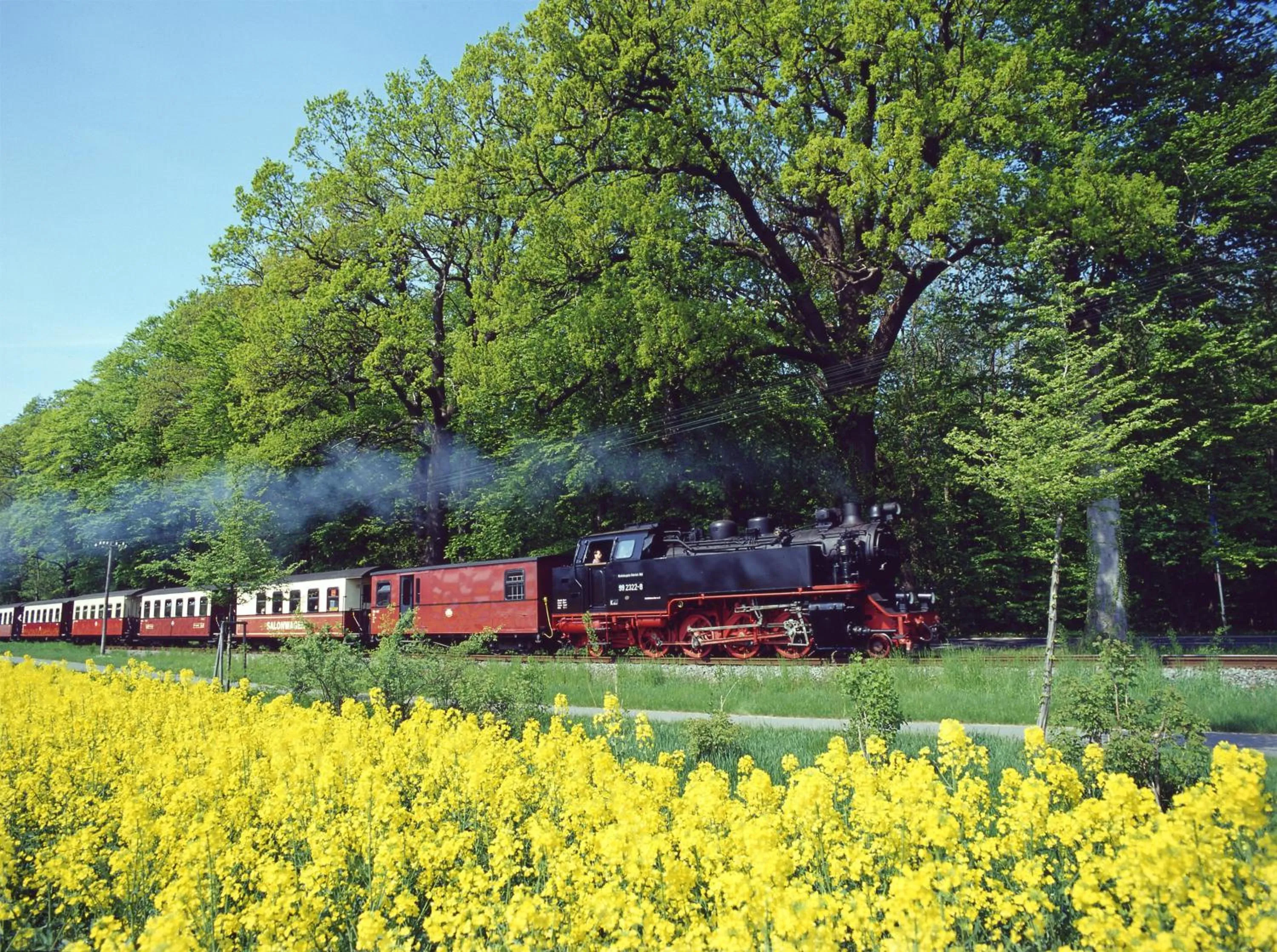 Area and facilities in Hotel Prinzenpalais Bad Doberan