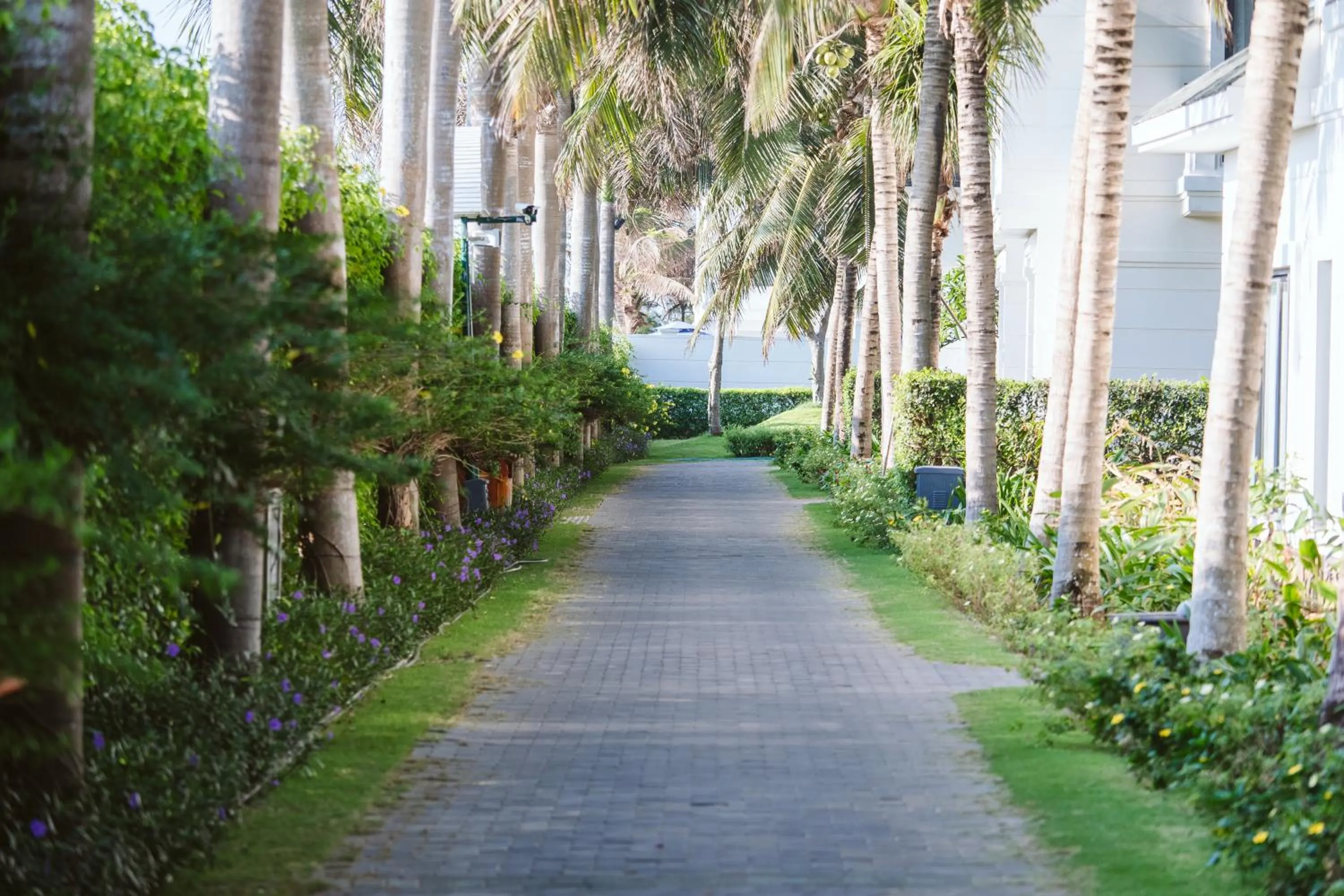 Garden in Le Palmier Ho Tram Resort - Beachfront with Private Beach