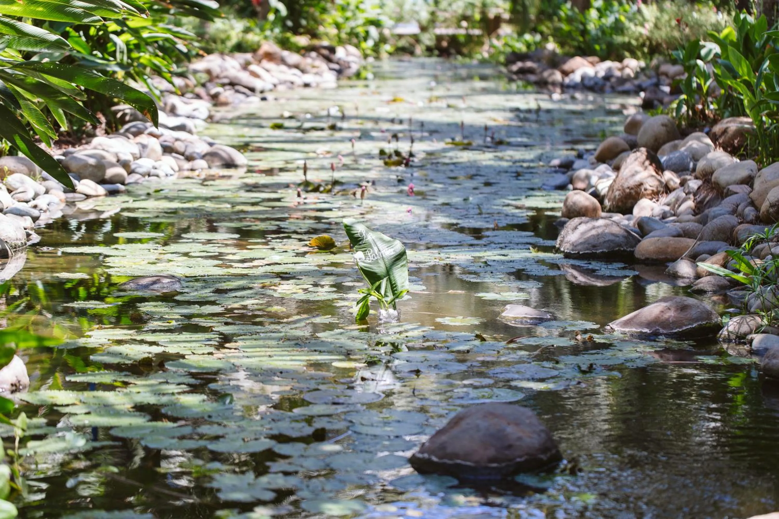 Garden in Le Palmier Ho Tram Resort - Beachfront with Private Beach