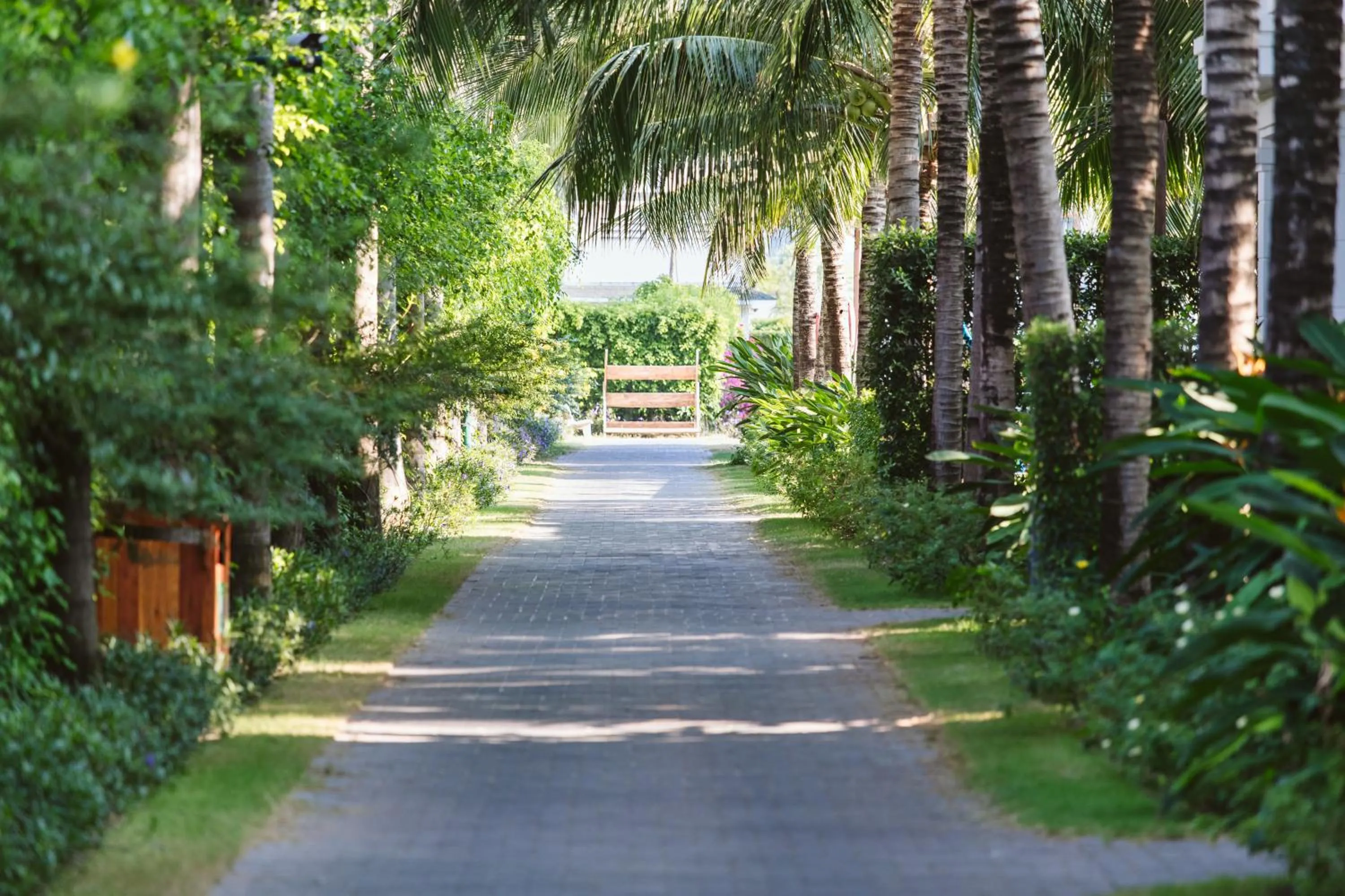 Garden in Le Palmier Ho Tram Resort - Beachfront with Private Beach