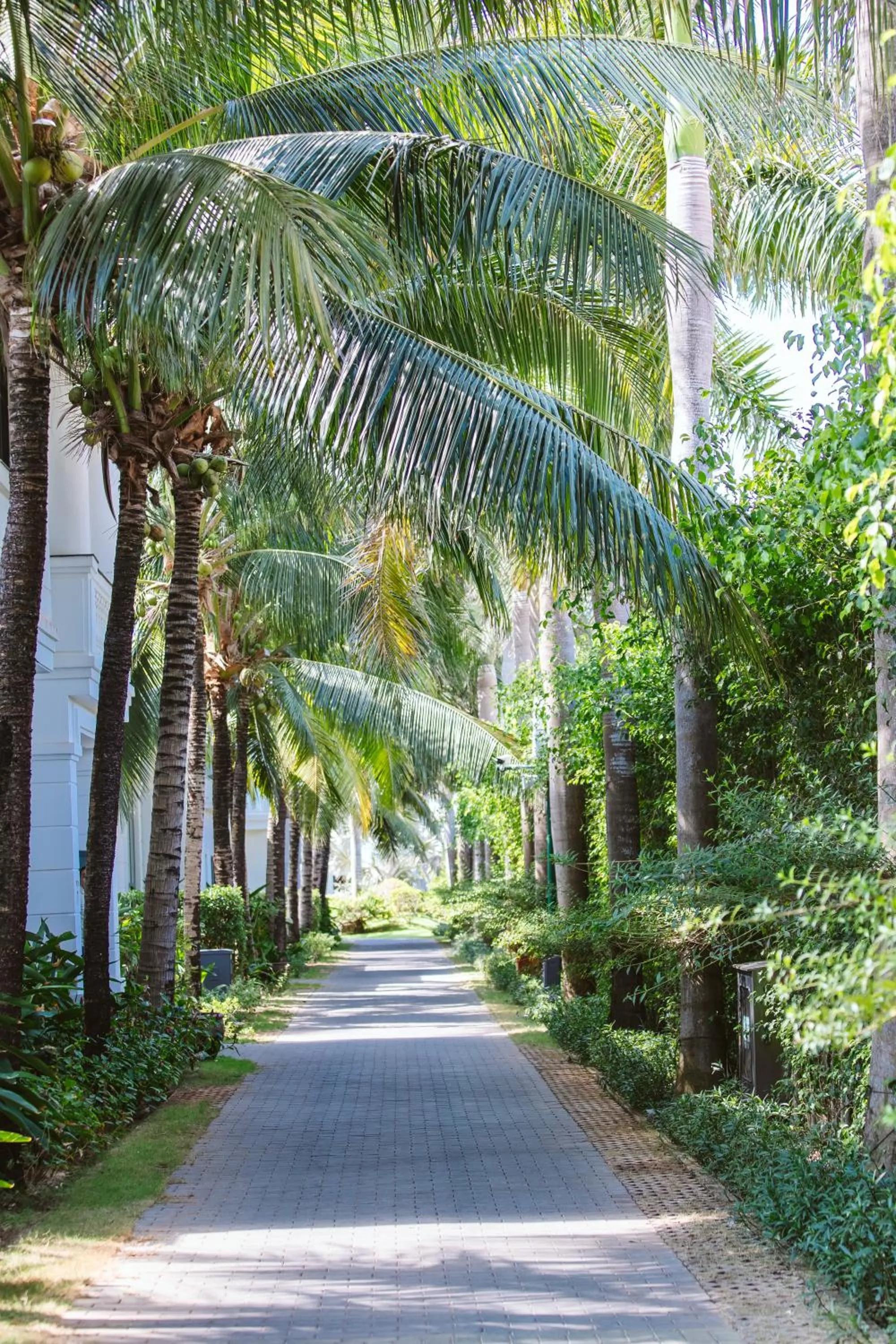 Garden in Le Palmier Ho Tram Resort - Beachfront with Private Beach