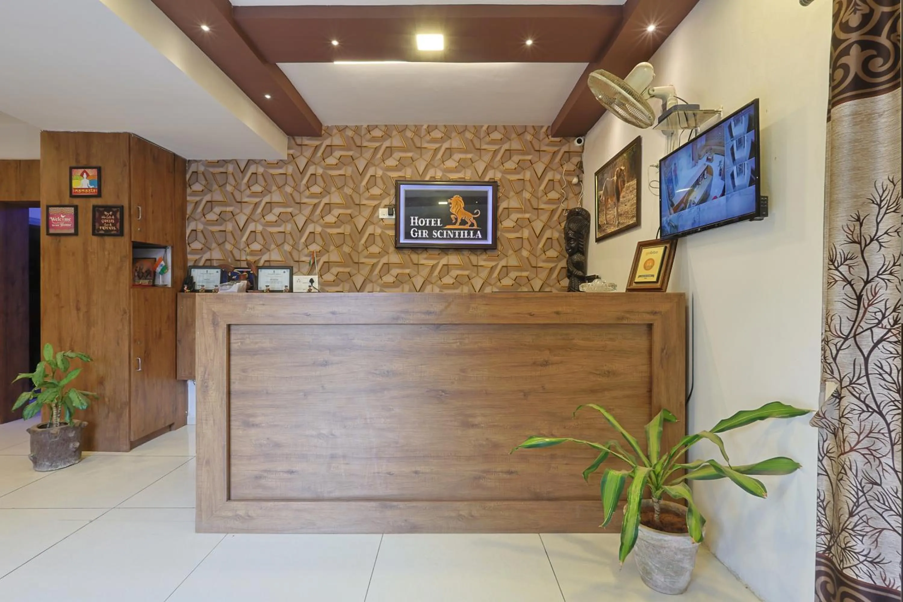 TV and multimedia in Hotel Gir Scintilla