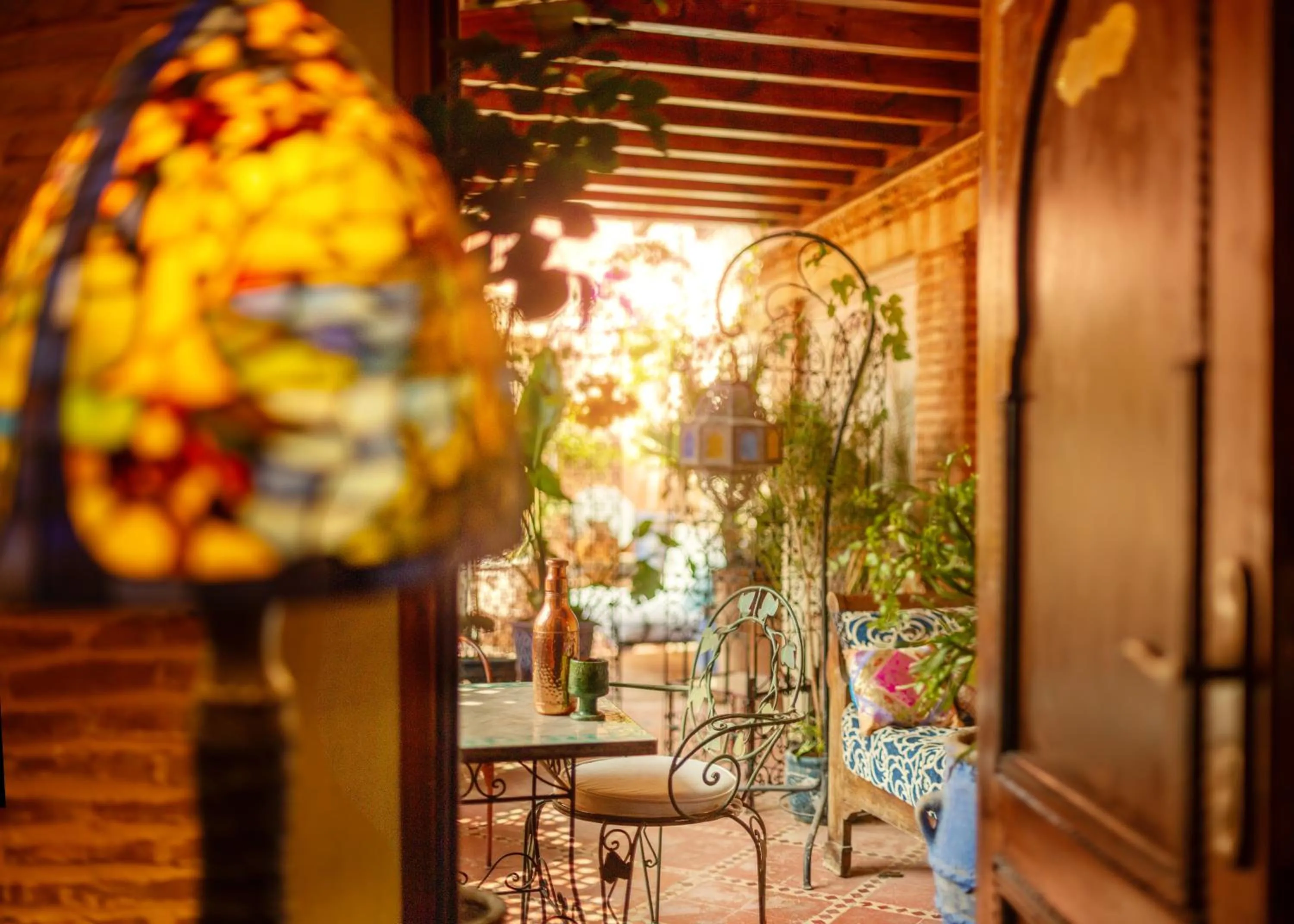 Garden in Riad Persephone