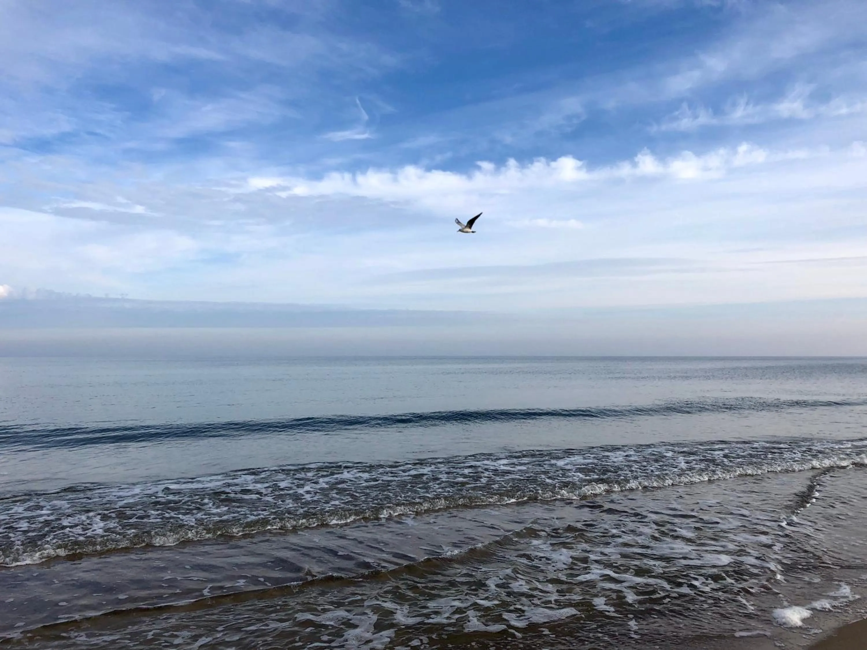 Natural landscape in Upstalsboom Residenzen Trassenheide