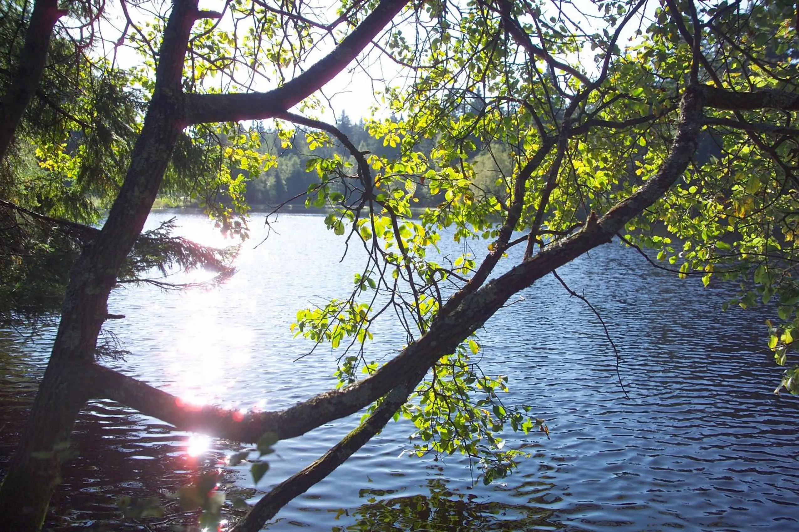 Nearby landmark in Hotel Kaiseralm
