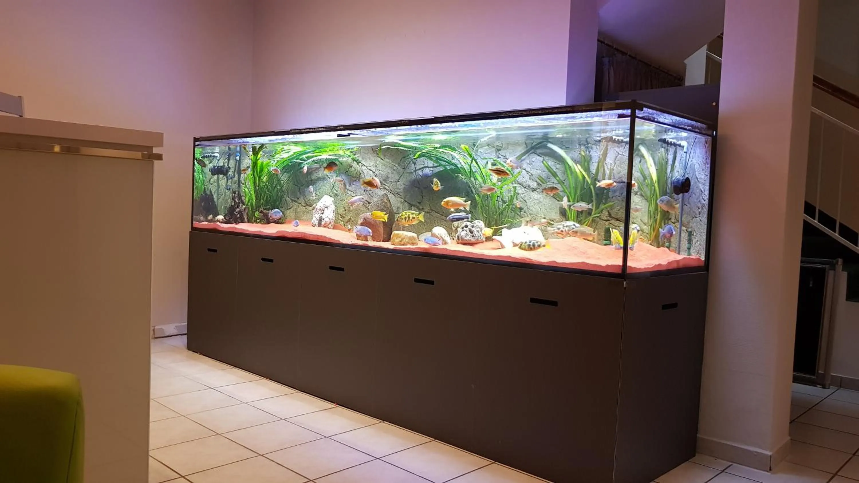 Lobby or reception in Hotel Evabrunnen