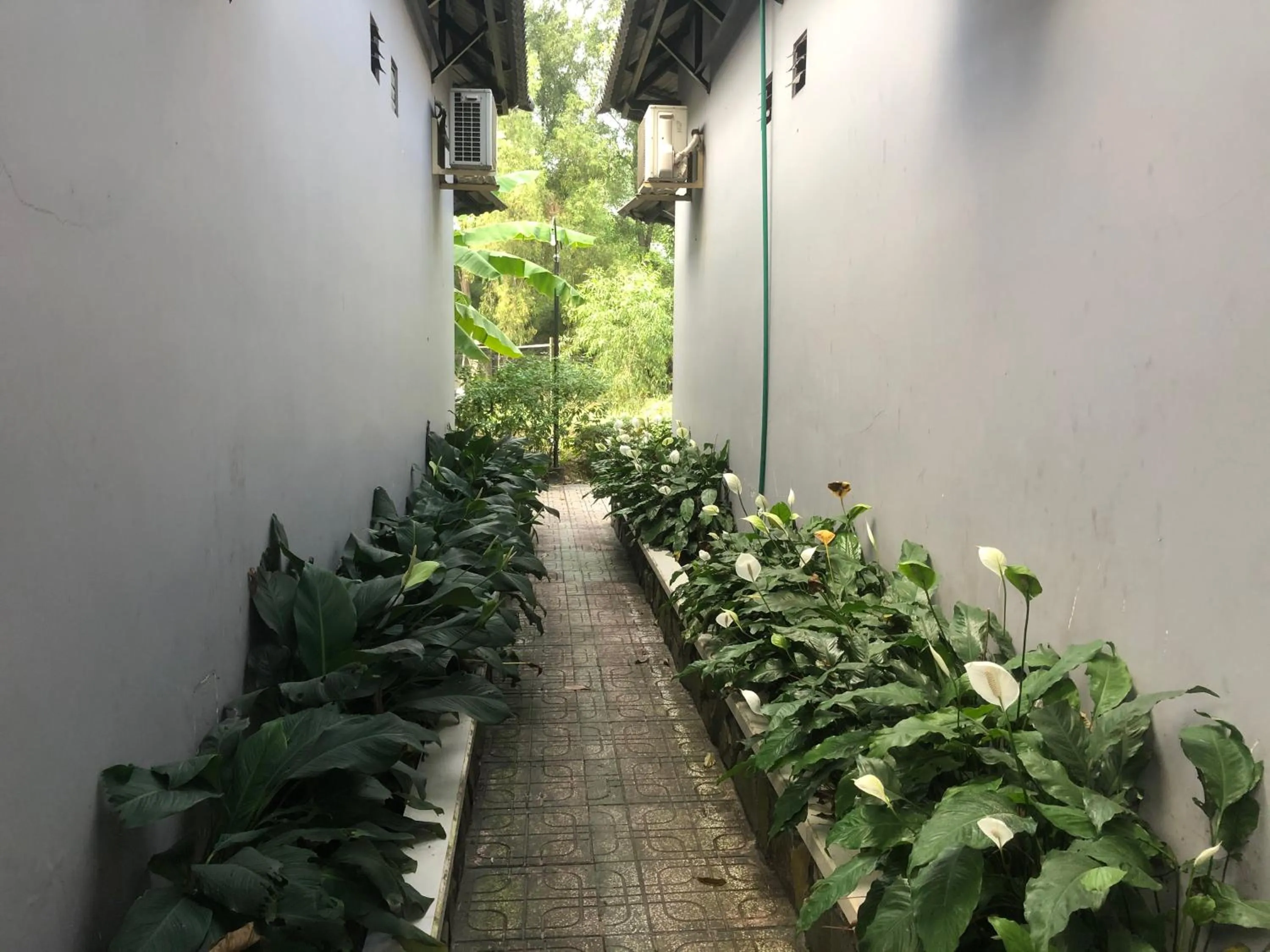 Garden in Mai Vuong Thuy Hotel