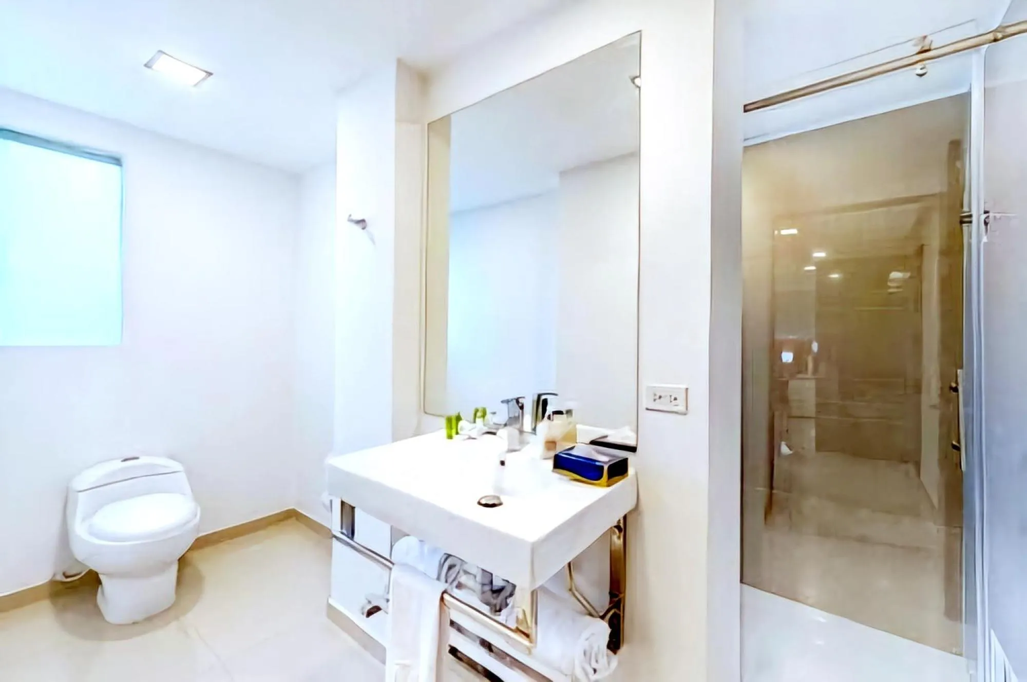 Shower in Hotel Blue 66