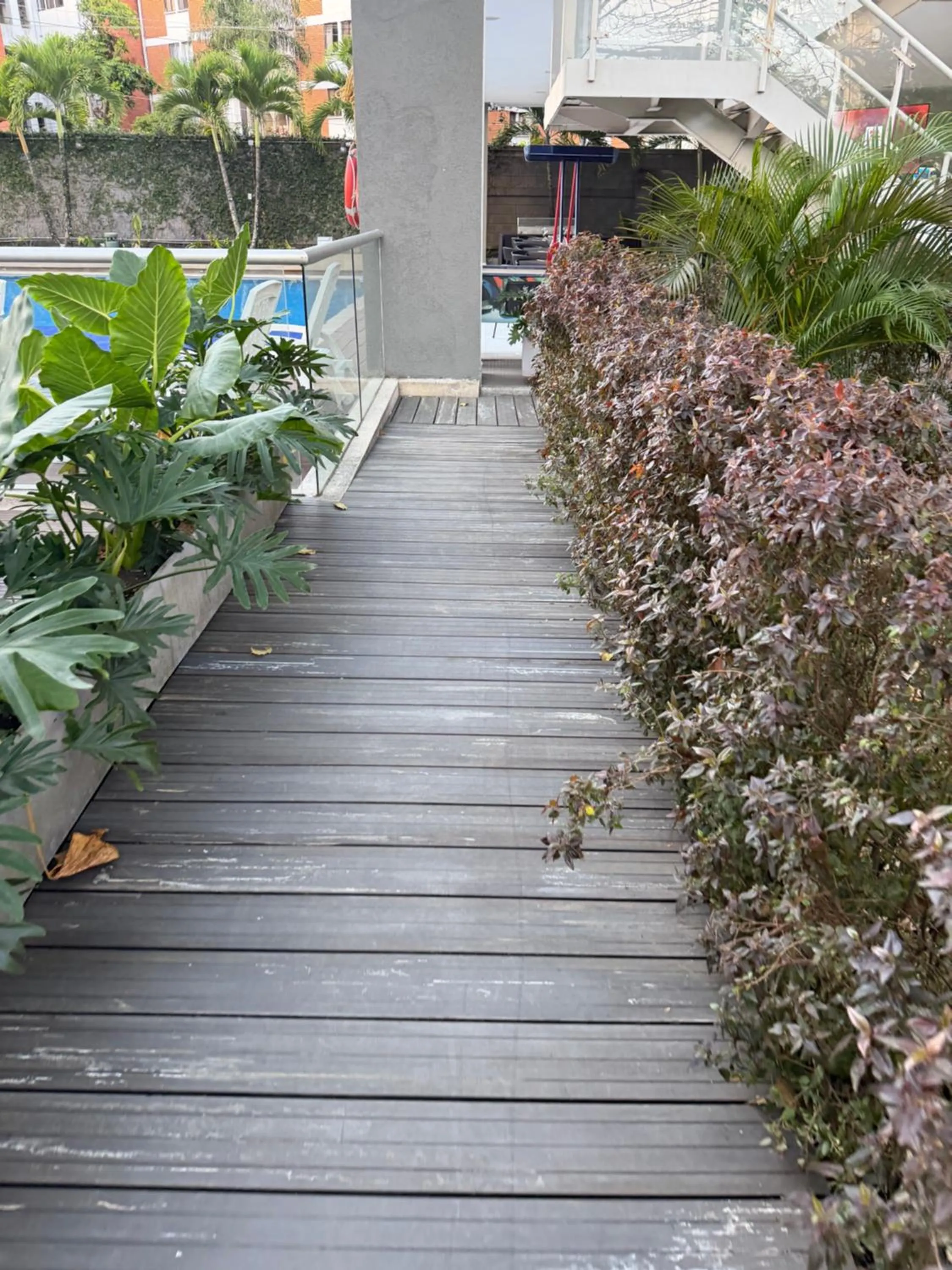 Garden view in Hotel Blue 66