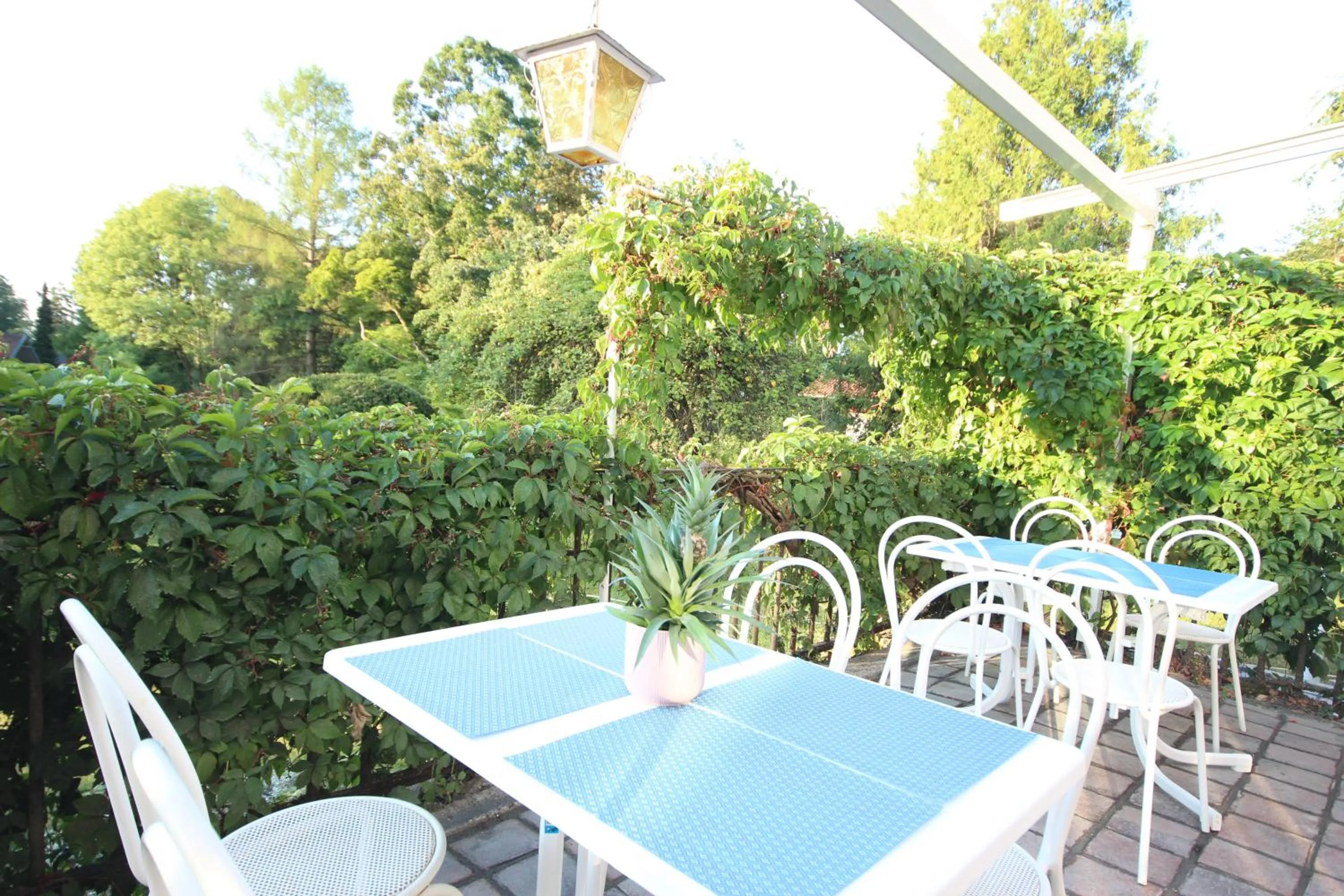 Property building in Hotel Villa Sisi