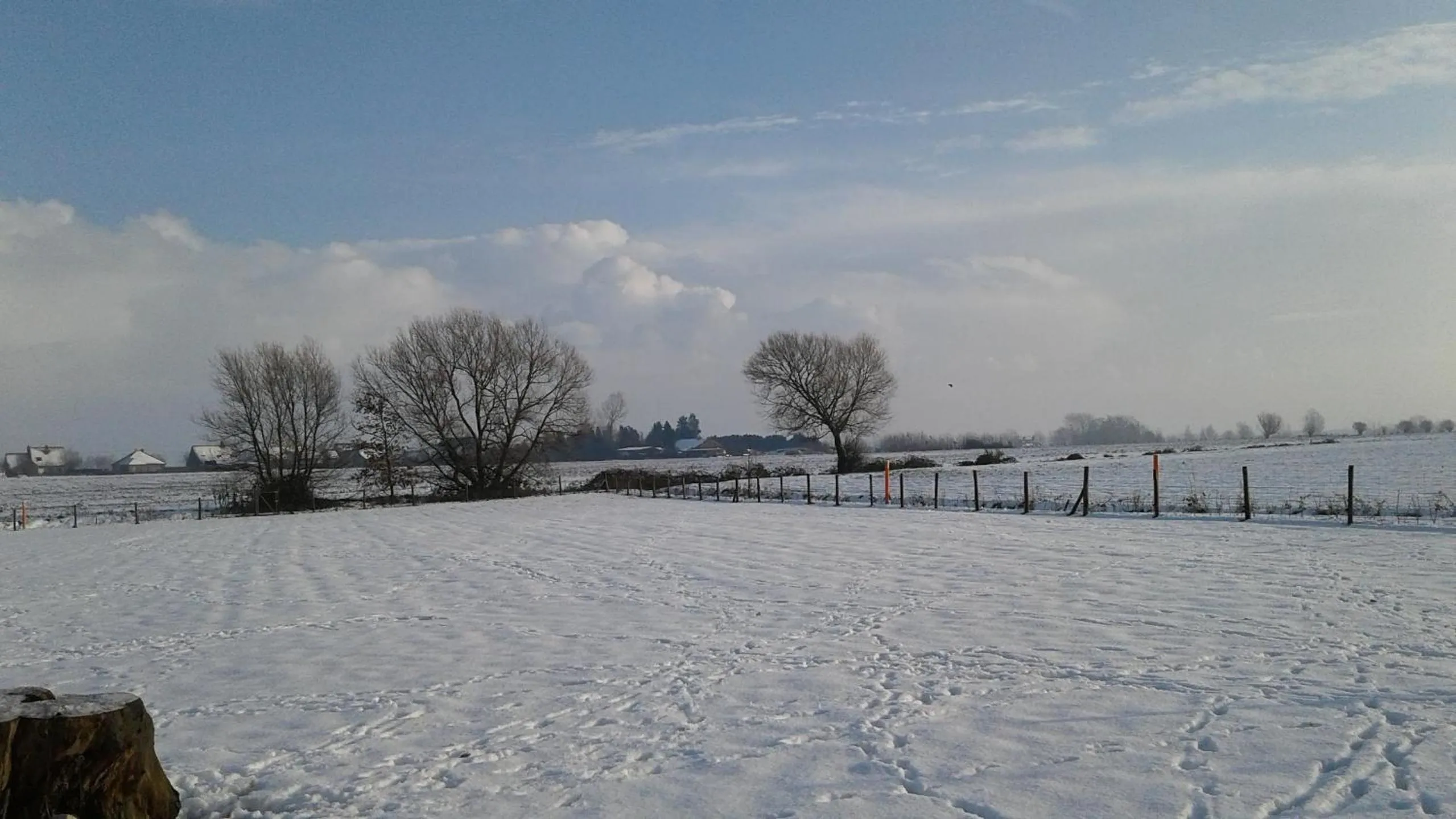 Natural landscape in B & B Victors Hof, met zwemvijver en leuke diertjes