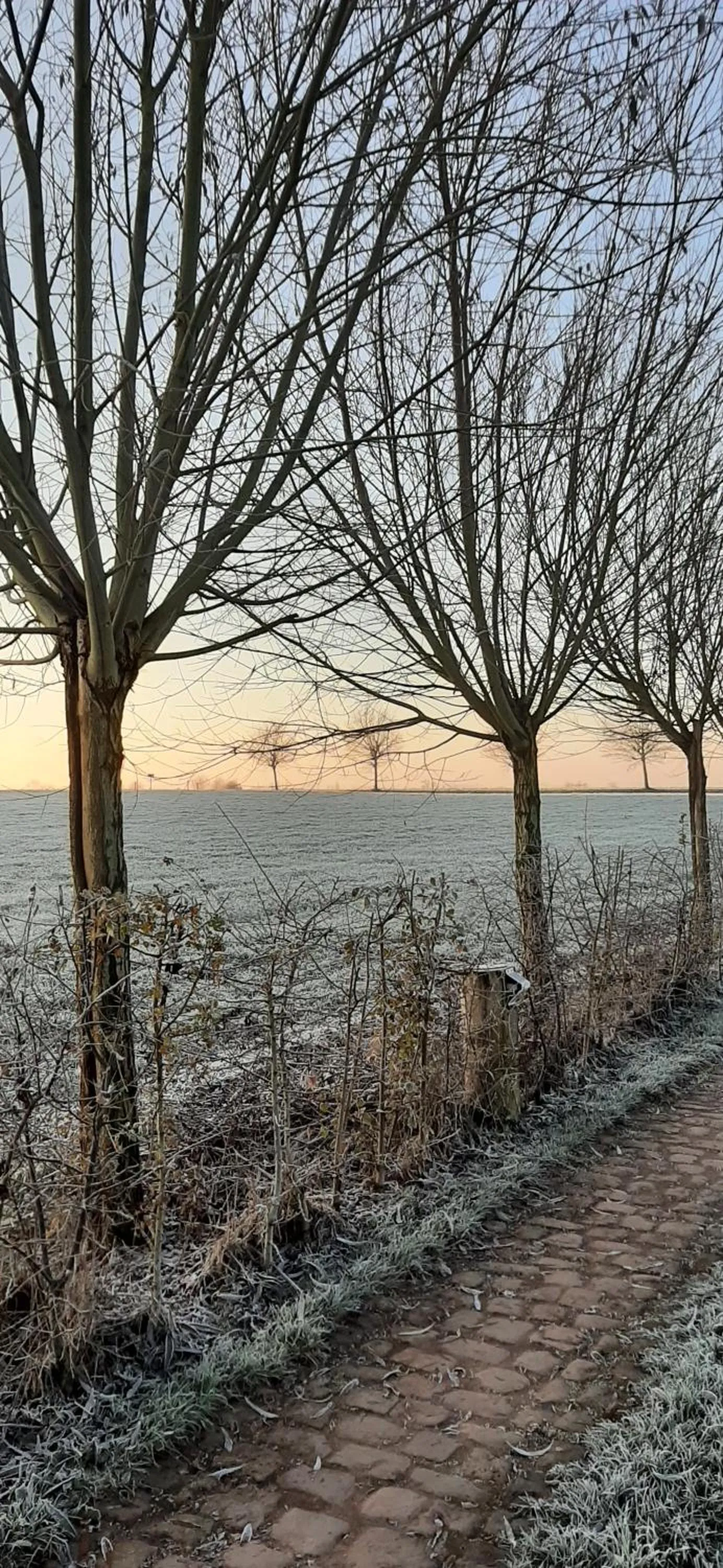 Natural landscape in B & B Victors Hof, met zwemvijver en leuke diertjes