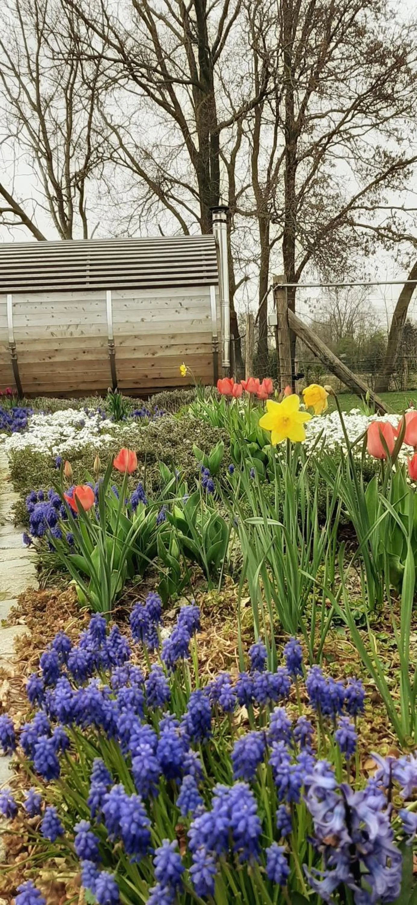 Garden in B & B Victors Hof, met zwemvijver en leuke diertjes