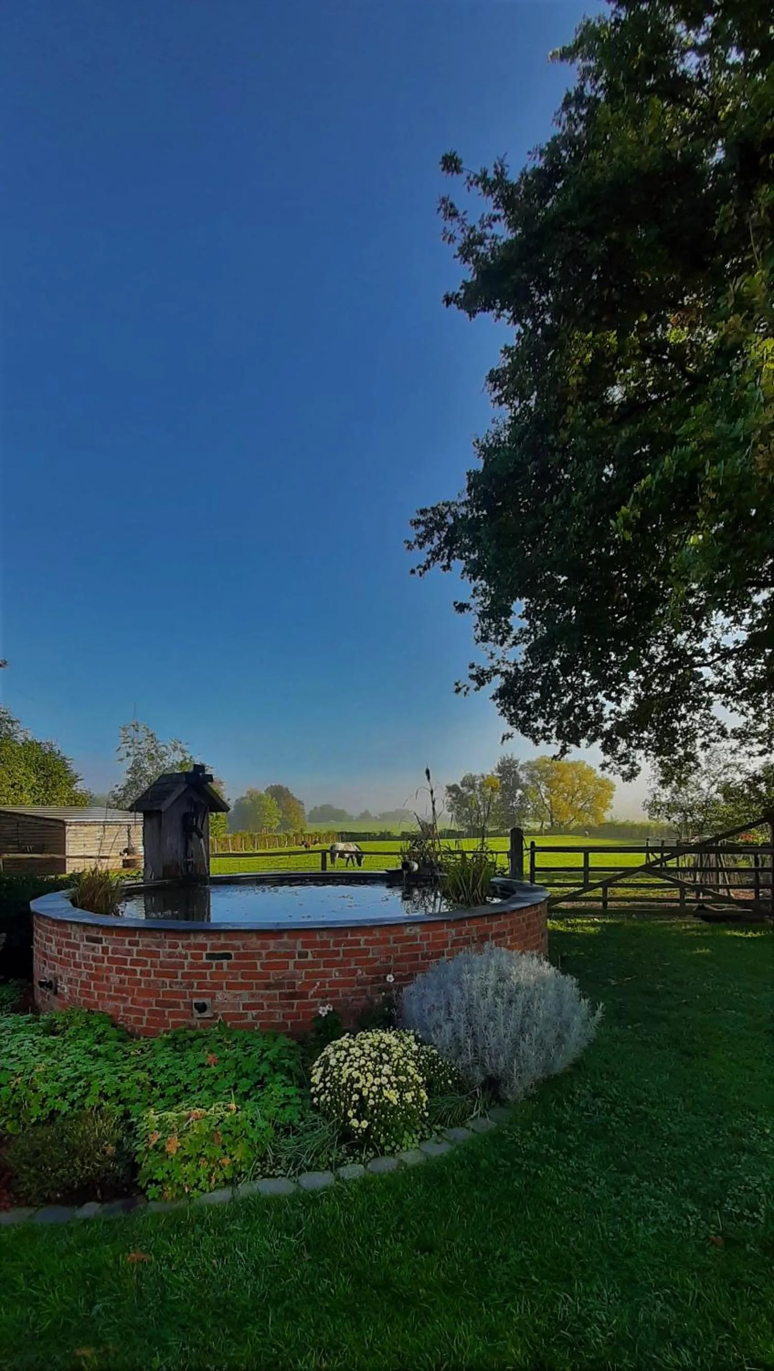 Natural landscape in B & B Victors Hof, met zwemvijver en leuke diertjes