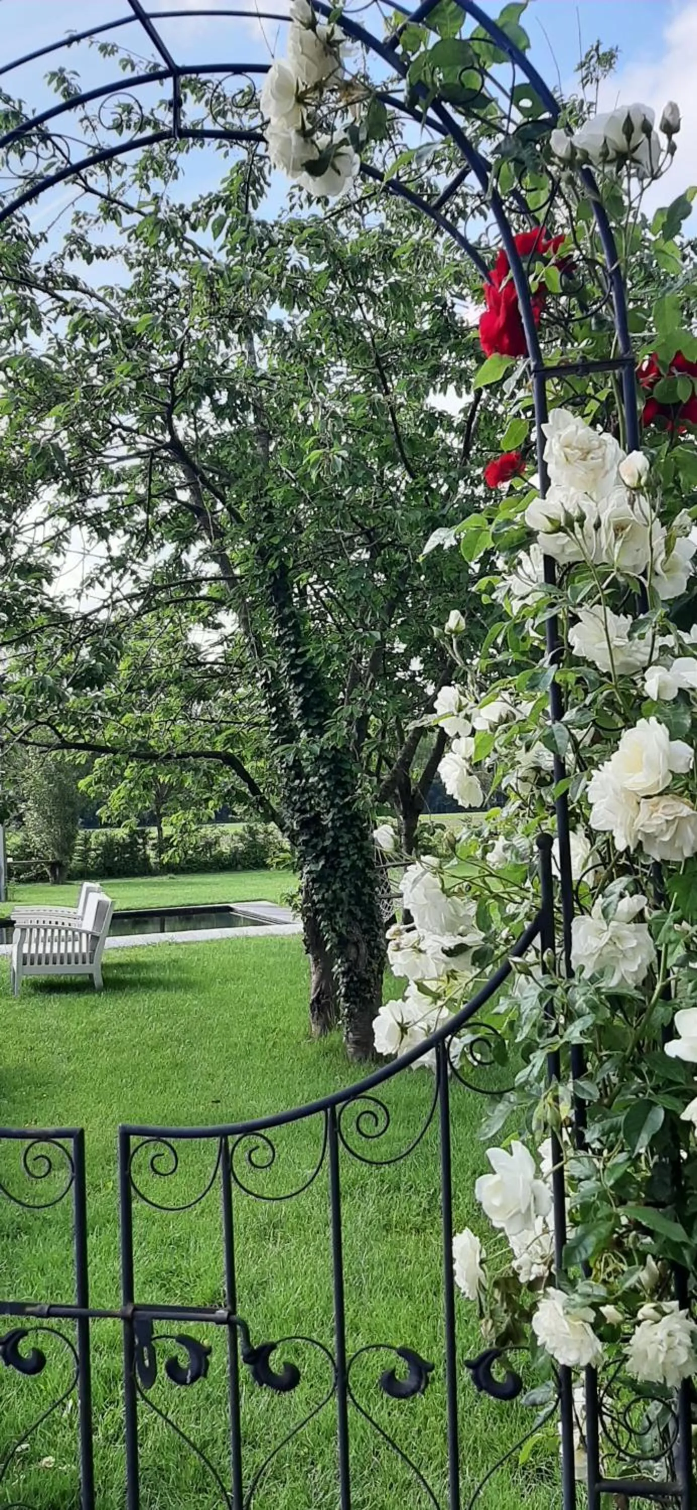 Spring in B & B Victors Hof, met zwemvijver en leuke diertjes