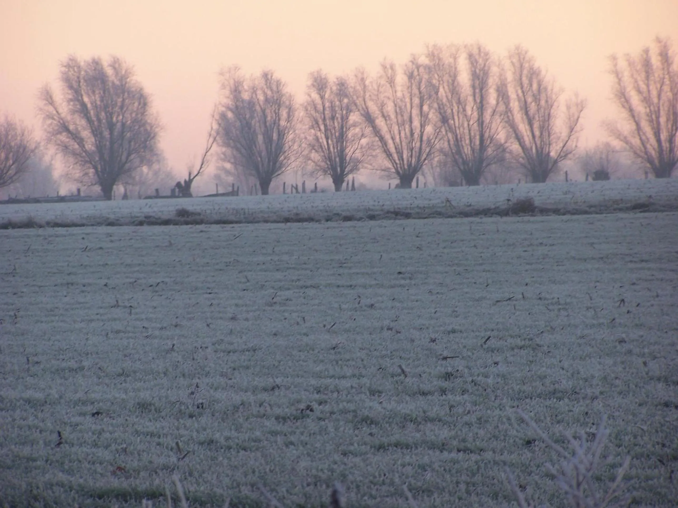 Sunrise in B & B Victors Hof, met zwemvijver en leuke diertjes
