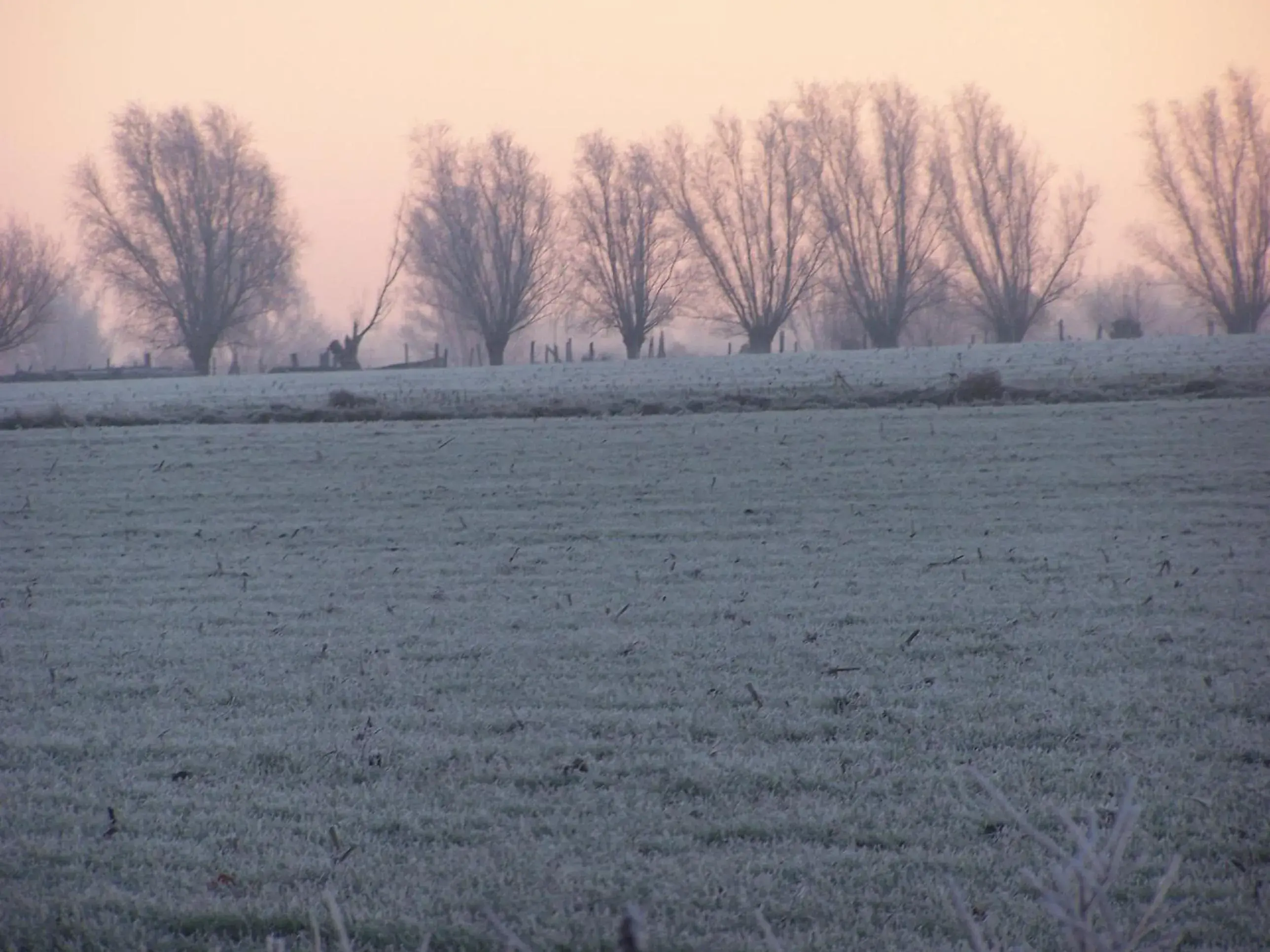 Double Room with Private Bathroom in B & B Victors Hof, met zwemvijver in landelijke setting Double Room with Private Bathroom in B & B Victors Hof, met zwemvijver in landelijke setting