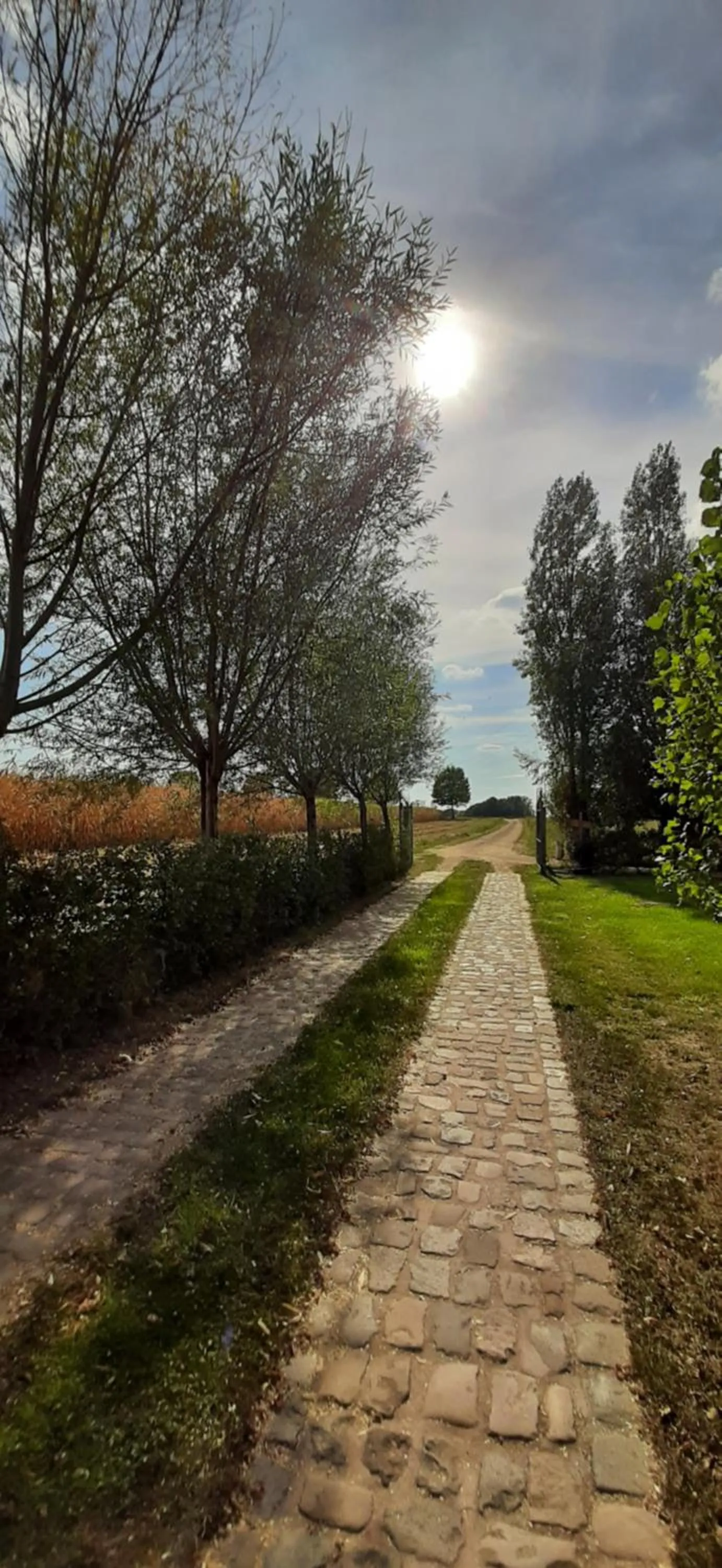 Natural landscape in B & B Victors Hof, met zwemvijver en leuke diertjes