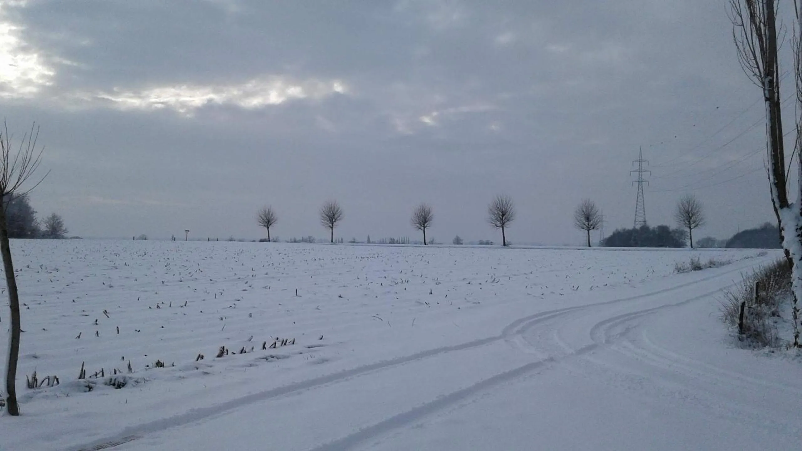 Natural landscape in B & B Victors Hof, met zwemvijver en leuke diertjes
