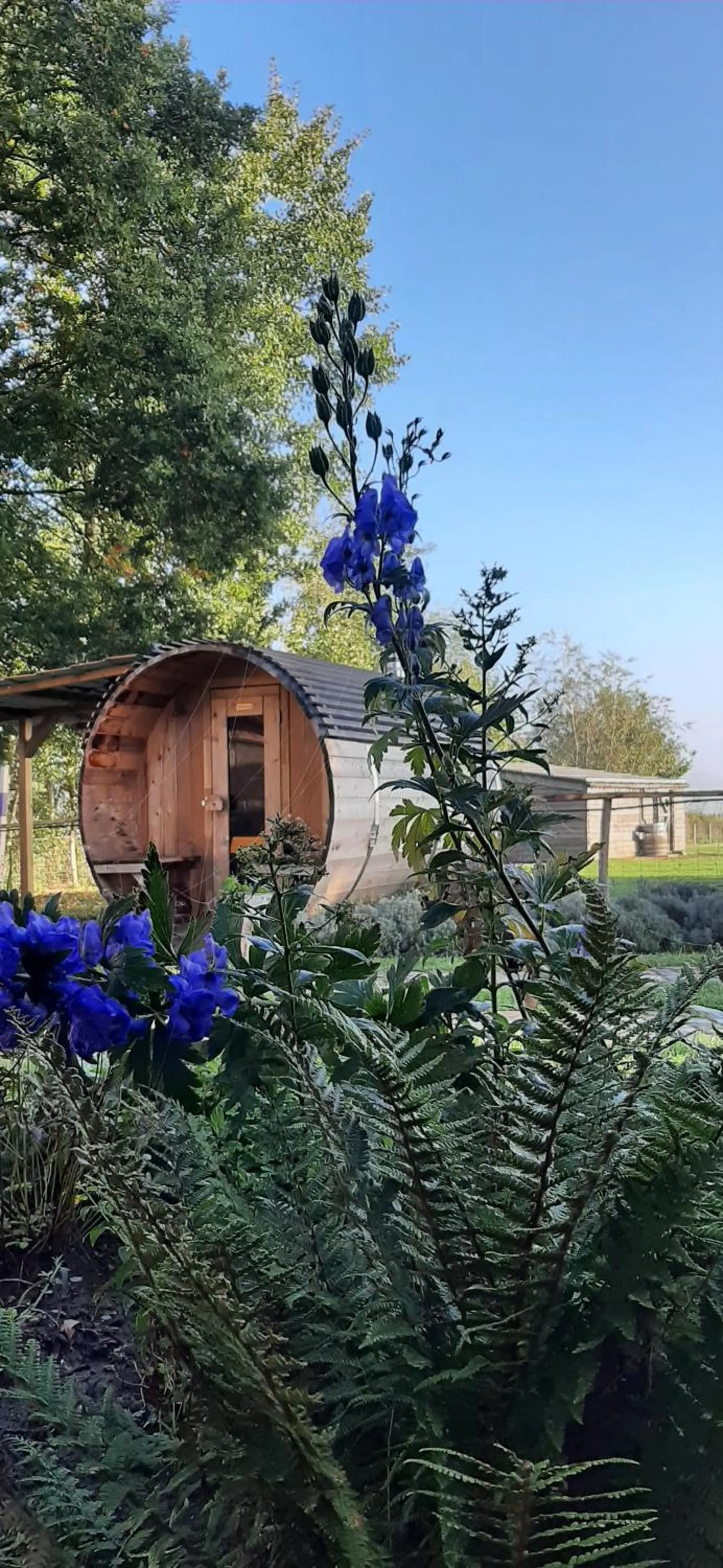 Garden in B & B Victors Hof, met zwemvijver en leuke diertjes