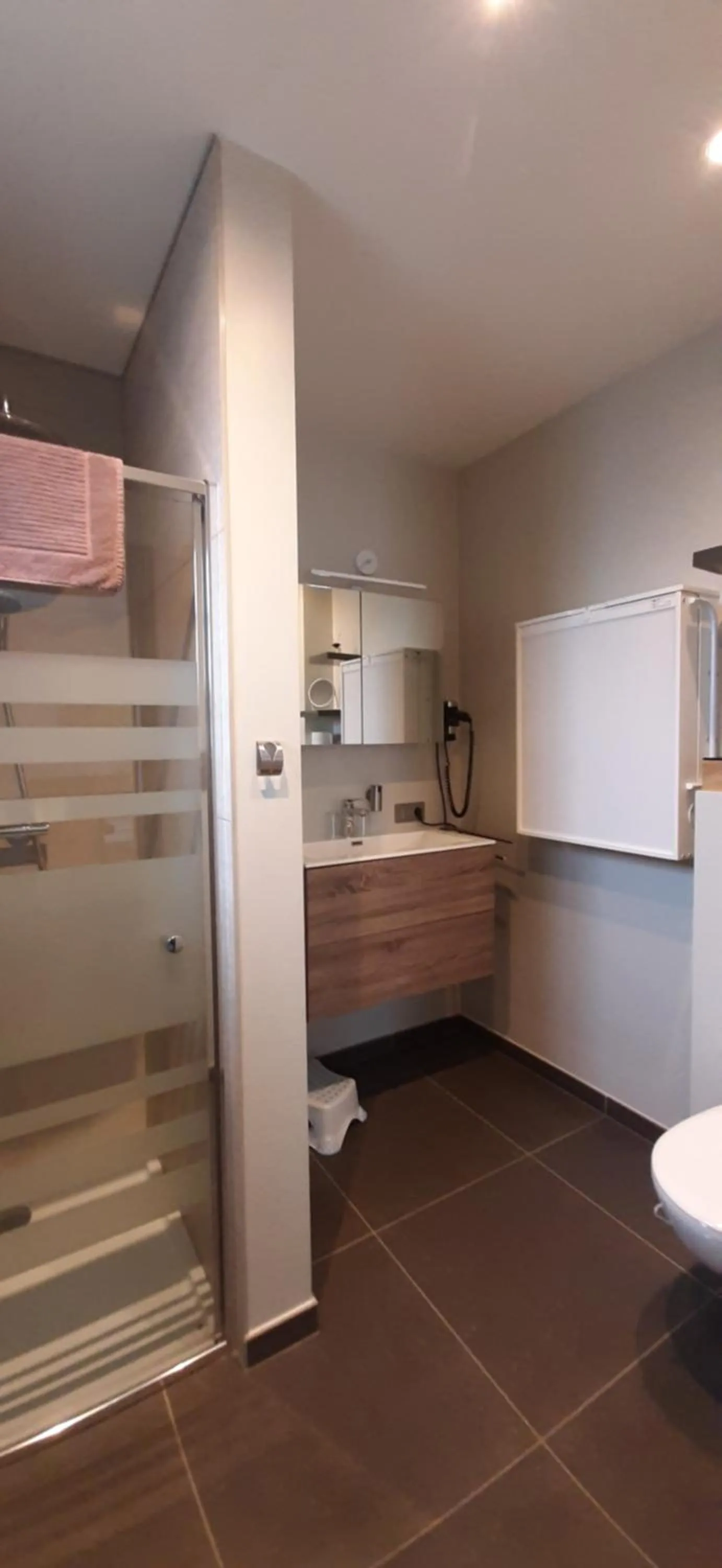 Bathroom in B & B Victors Hof, met zwemvijver en leuke diertjes