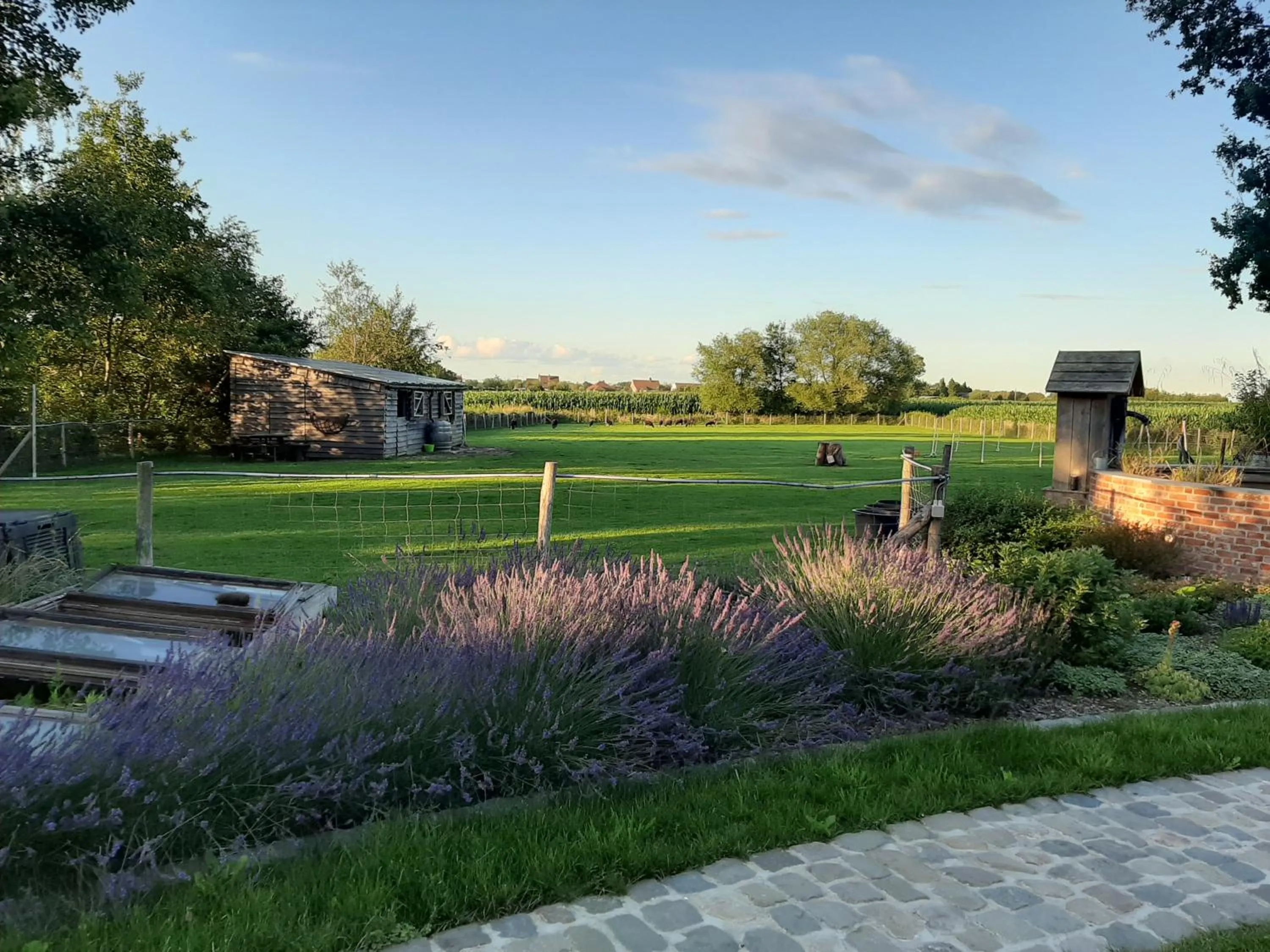 Natural landscape in B & B Victors Hof, met zwemvijver en leuke diertjes