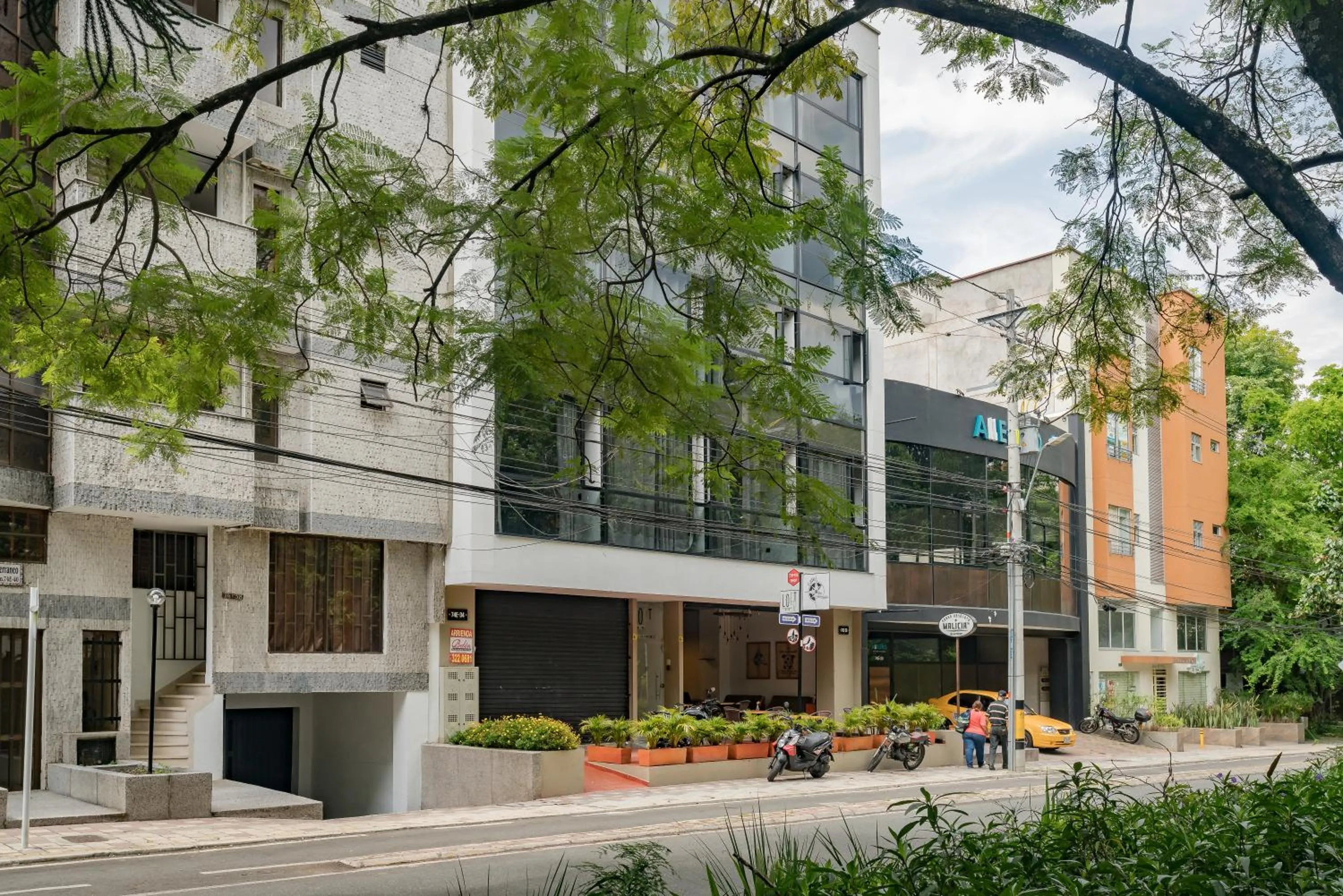 Spring in Loft 32 Medellín Living