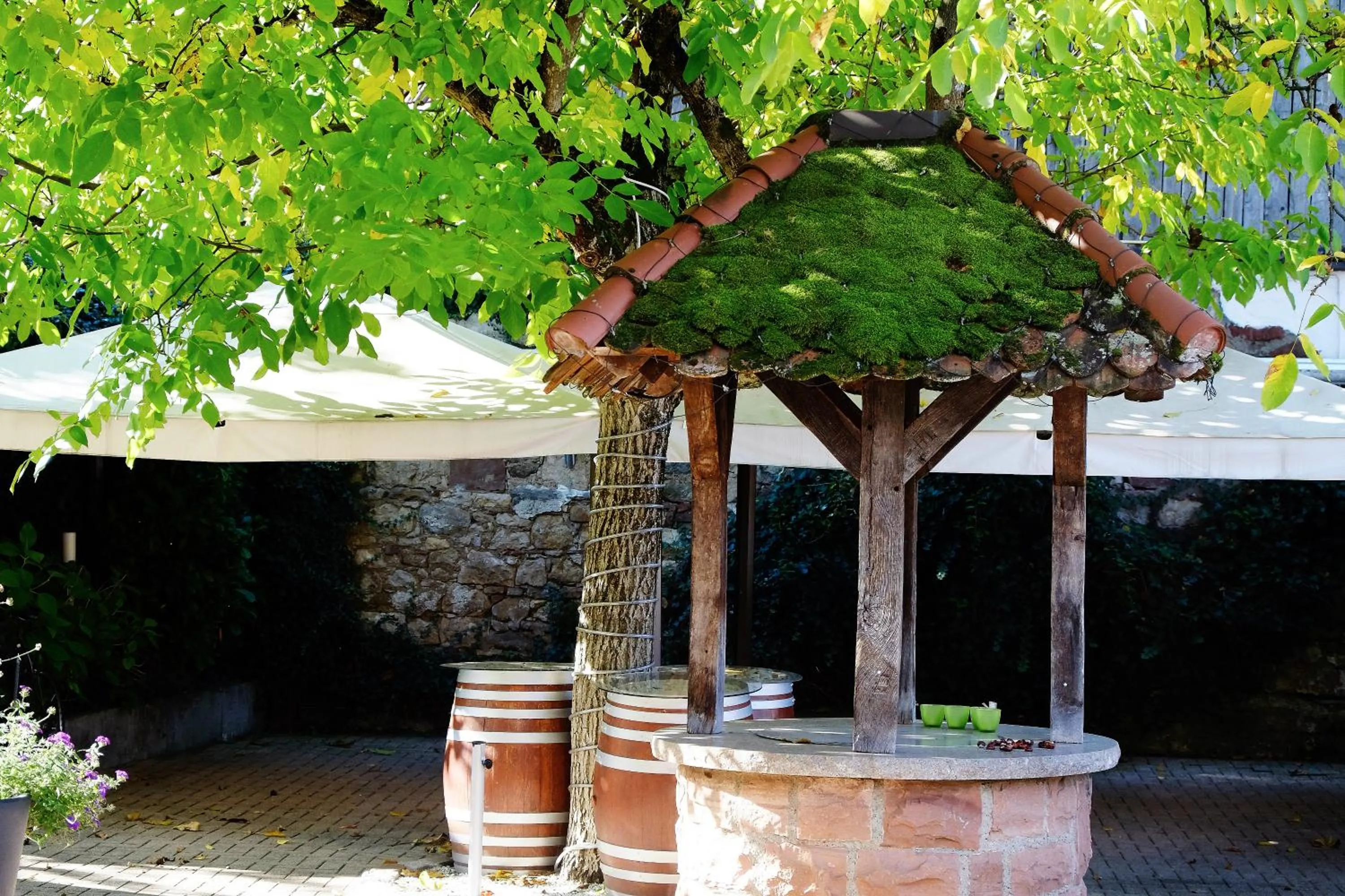 Ochsen Hotel & Restaurant Binzen / Basel