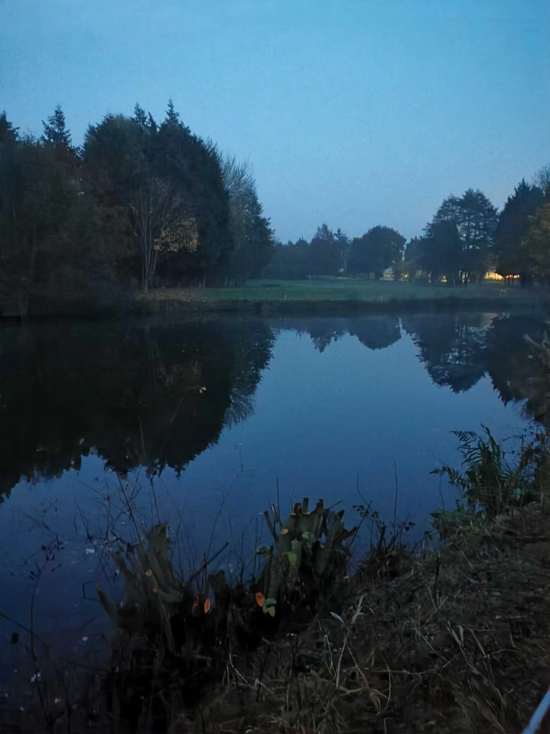 Neighbourhood in JJs Lodge Lakewood