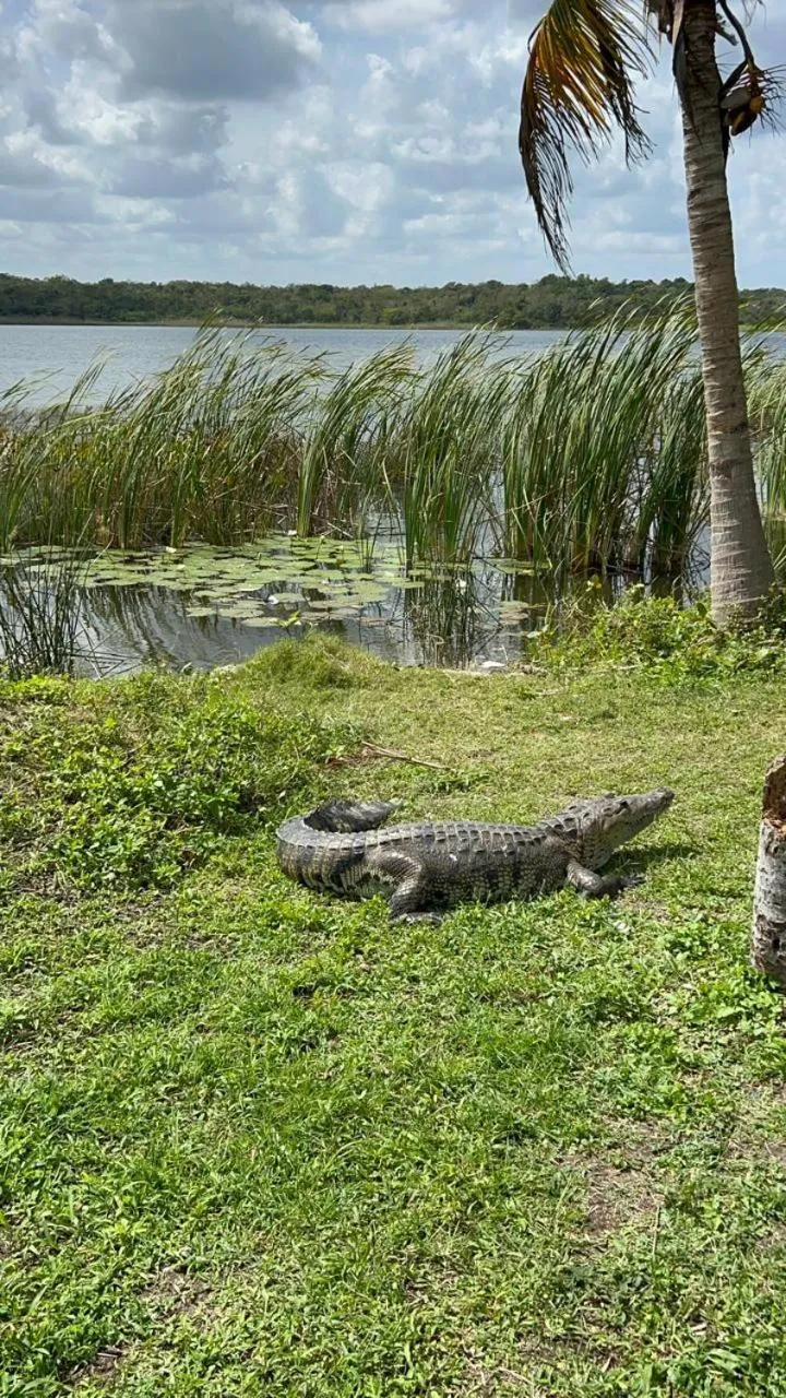 Off site in Hotel Itza Coba